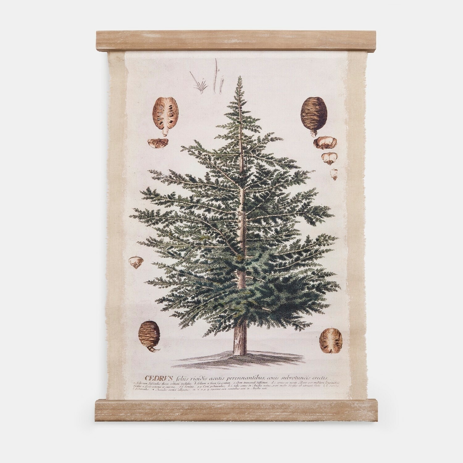 Wandbild Ulmevaine