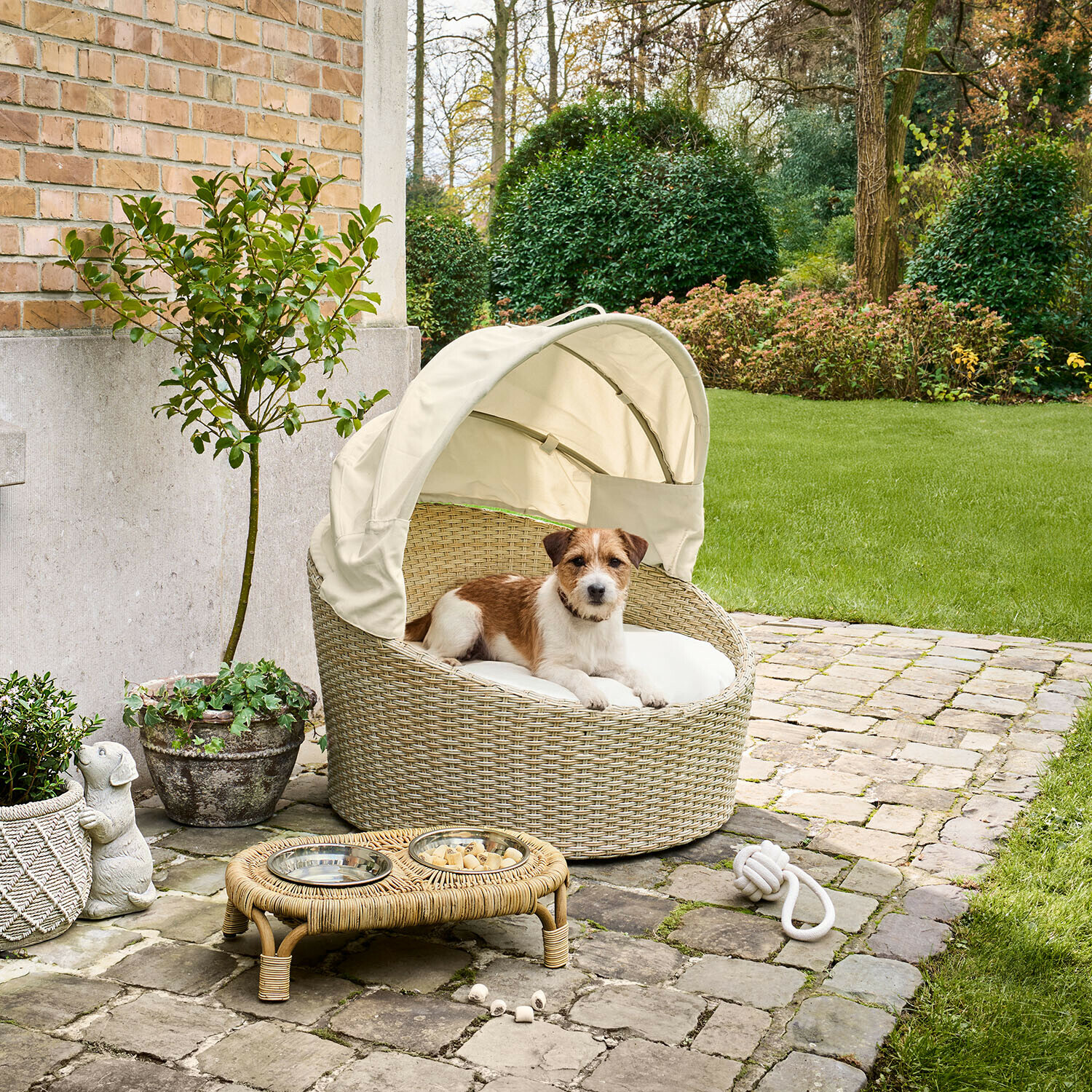 In- & Outdoor-Haustierkorb Brinelza Beiges Rattan-Hundebett mit Sonnendach im Garten, kleiner braun-weißer Hund liegt darin