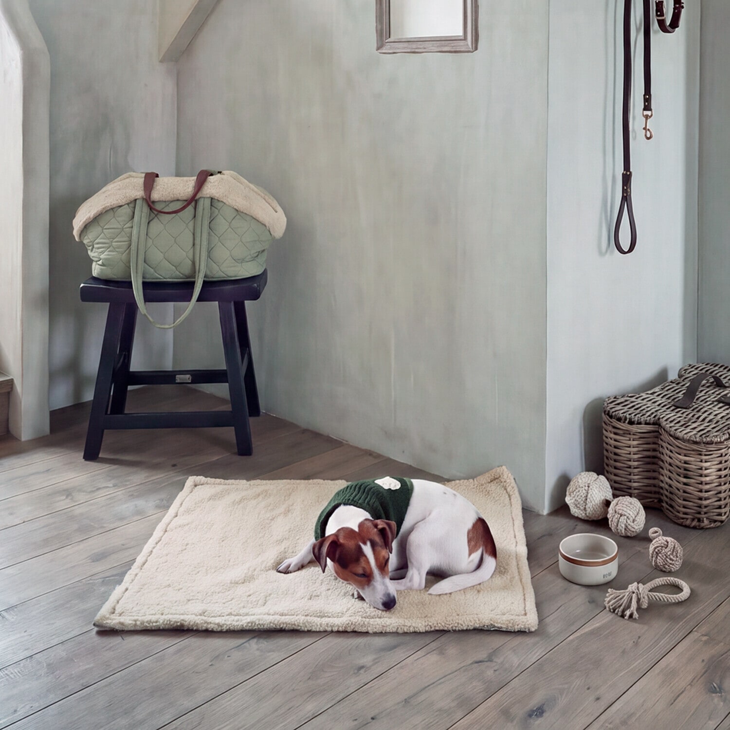 Hundehalstuch Jovini