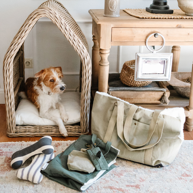 Hundealltag mit Stil