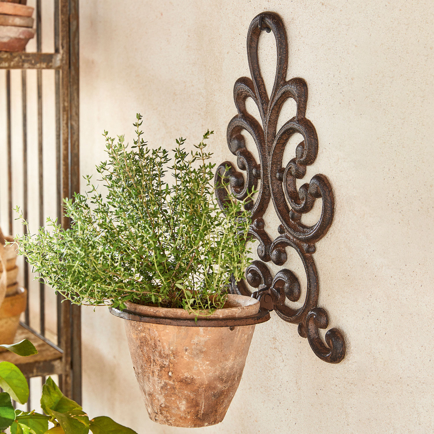 Pflanztopfhalter Cecile Rustikaler Terrakotta-Blumentopf an dekorativer Metall-Wandhalterung für Kräuter und Pflanzen.