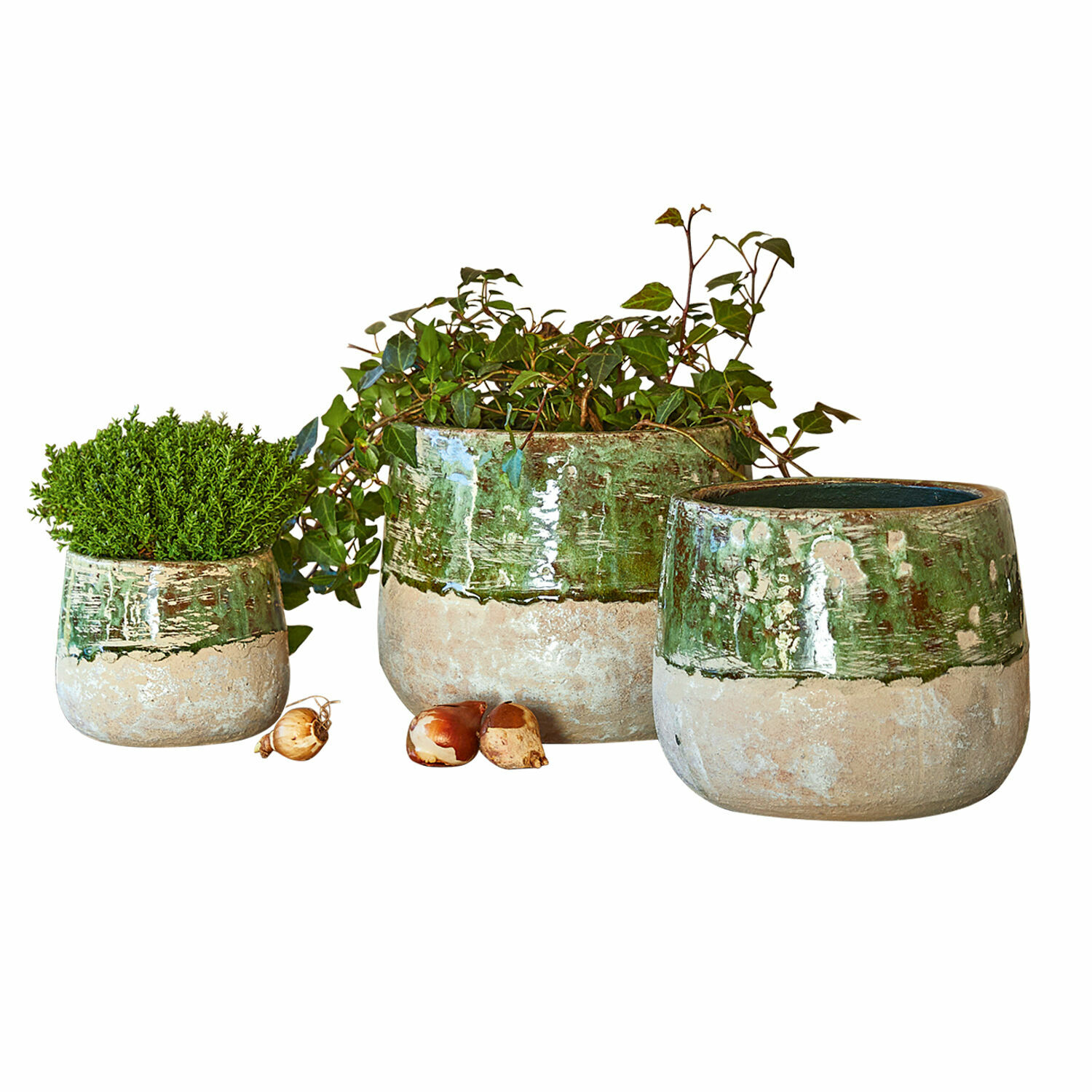 Übertopf 3er Set Reefton Set aus drei grünen und beigen Keramikblumentöpfen mit Pflanzen und Blumenzwiebeln