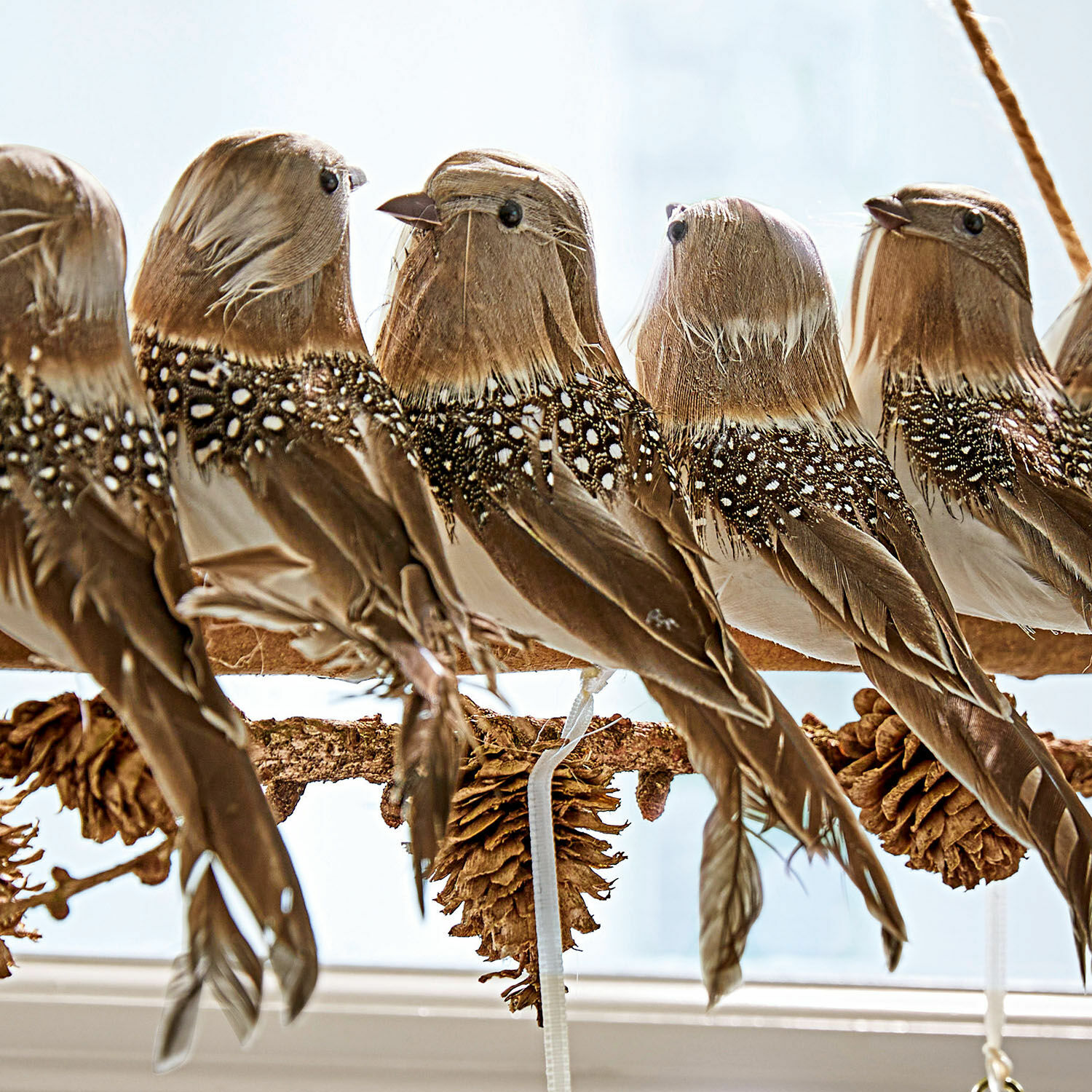 Ast mit Vögeln Orely