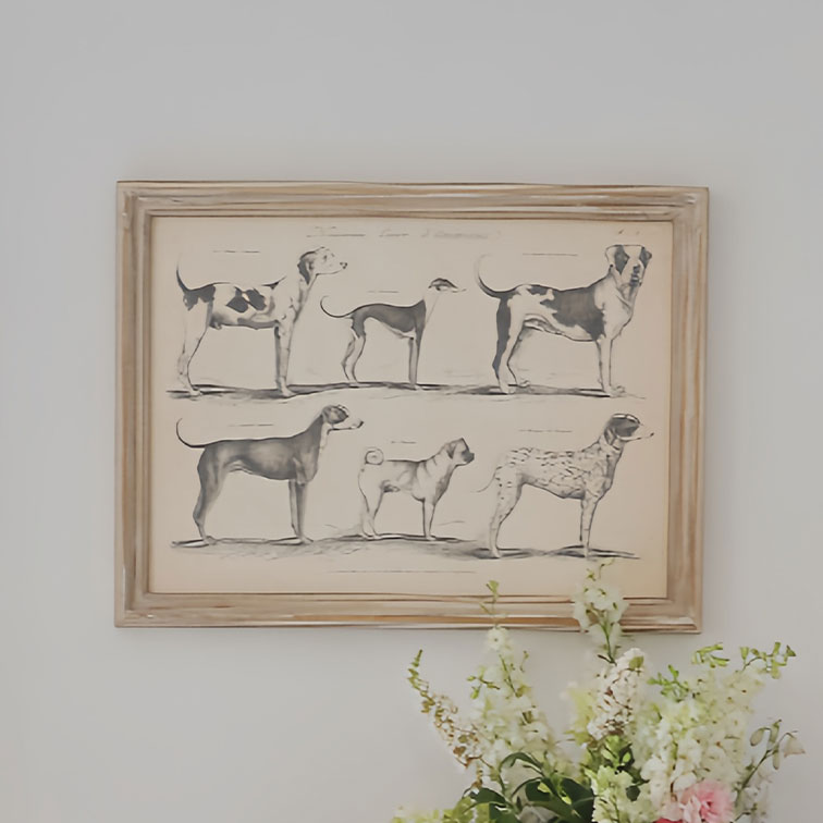 Gerahmte Schwarz-Weiß-Zeichnung von sechs Hunderassen an der Wand mit Blumenarrangement