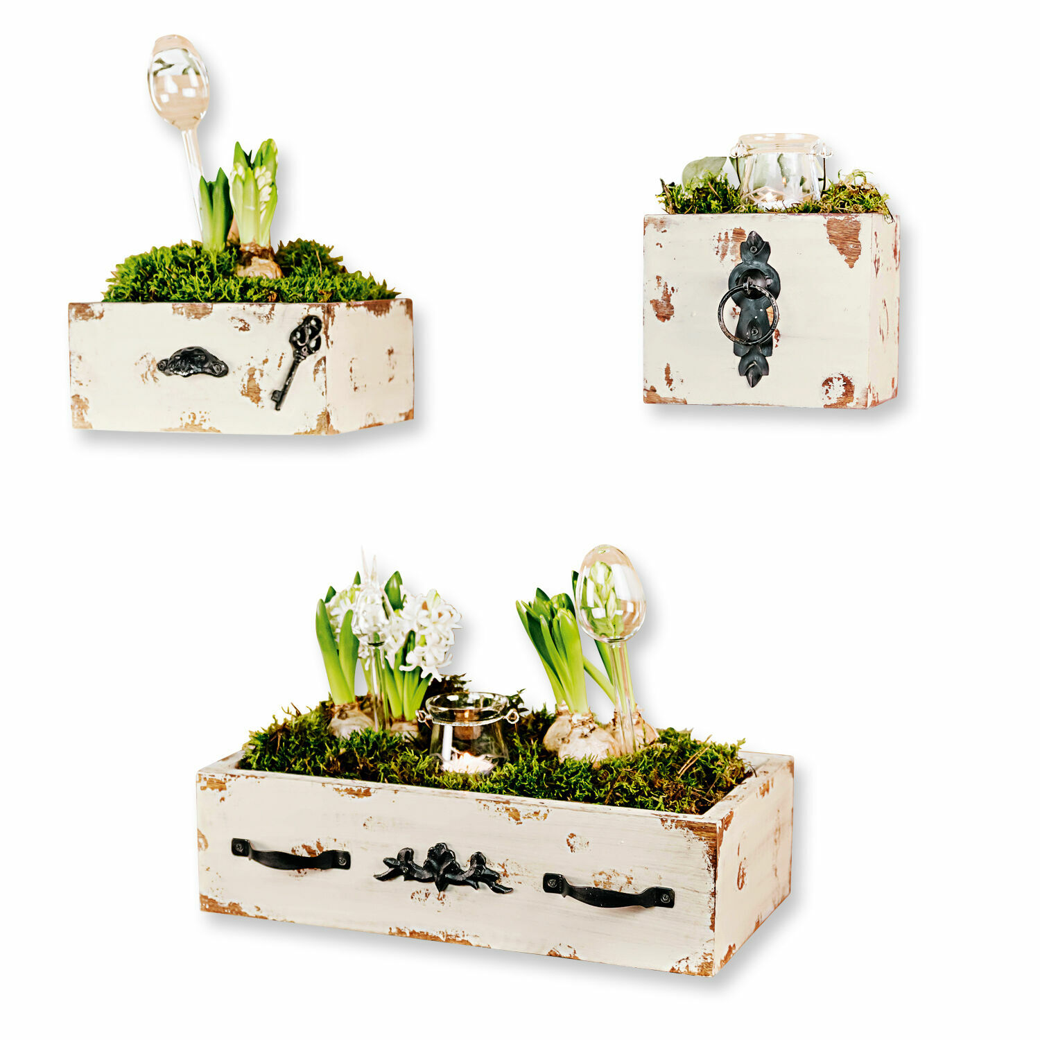 Set aus drei weissen Holzkästen mit grünem Moos und Blumen, Gartendekoration
