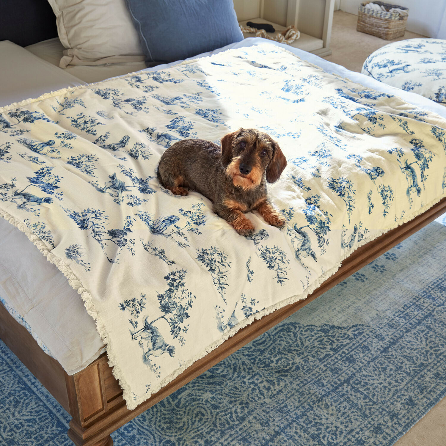 Haustierplaid Ymélorine Baumwoll-Decke in Creme mit blauem Tiermuster auf Holzbett mit Dackel