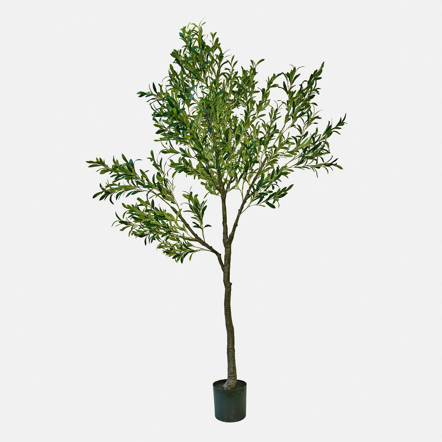 Deko-Olivenbaum Faelira