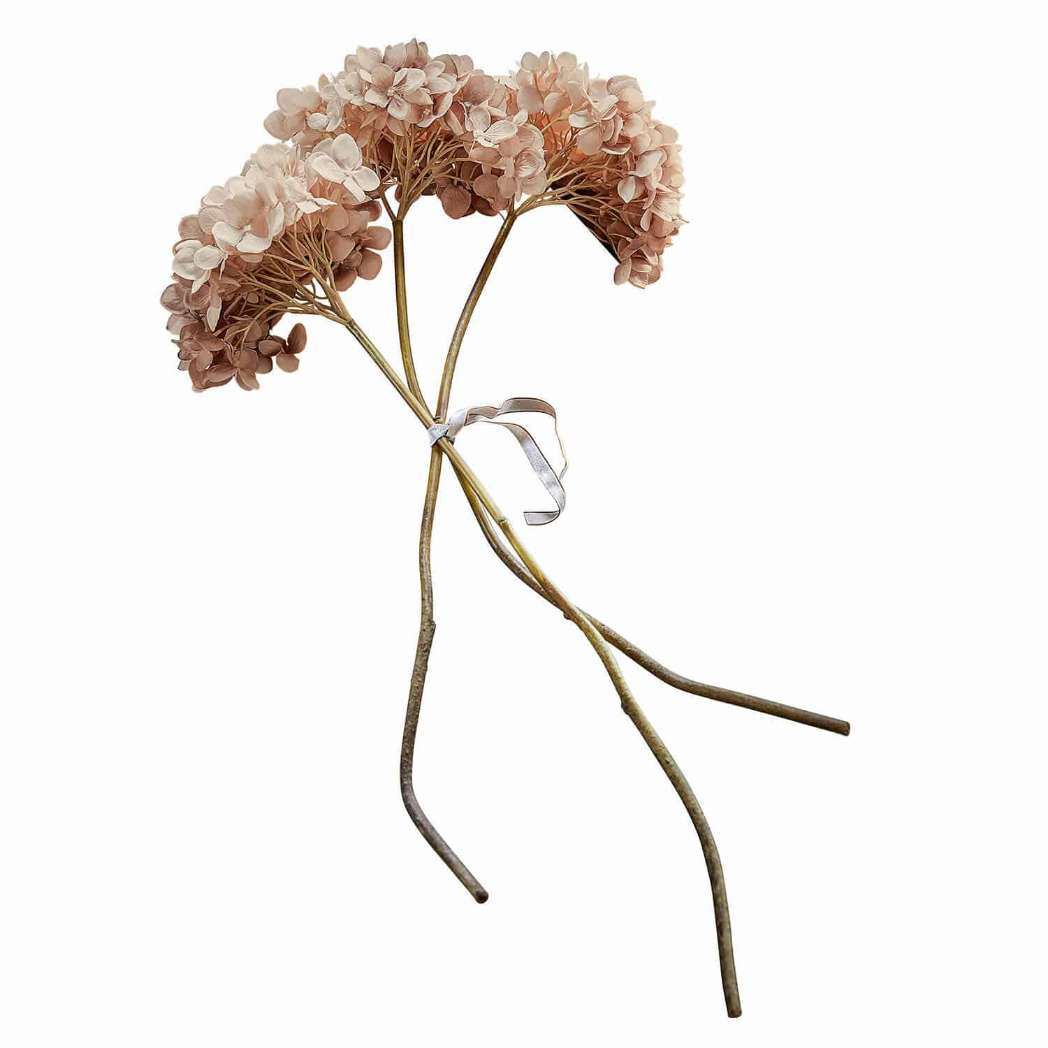 Deko-Blume 3er Set Amarente Strauuss getrockneter Hortensienblüten in Beige-Braun für natürliche Wohnraumdekoration