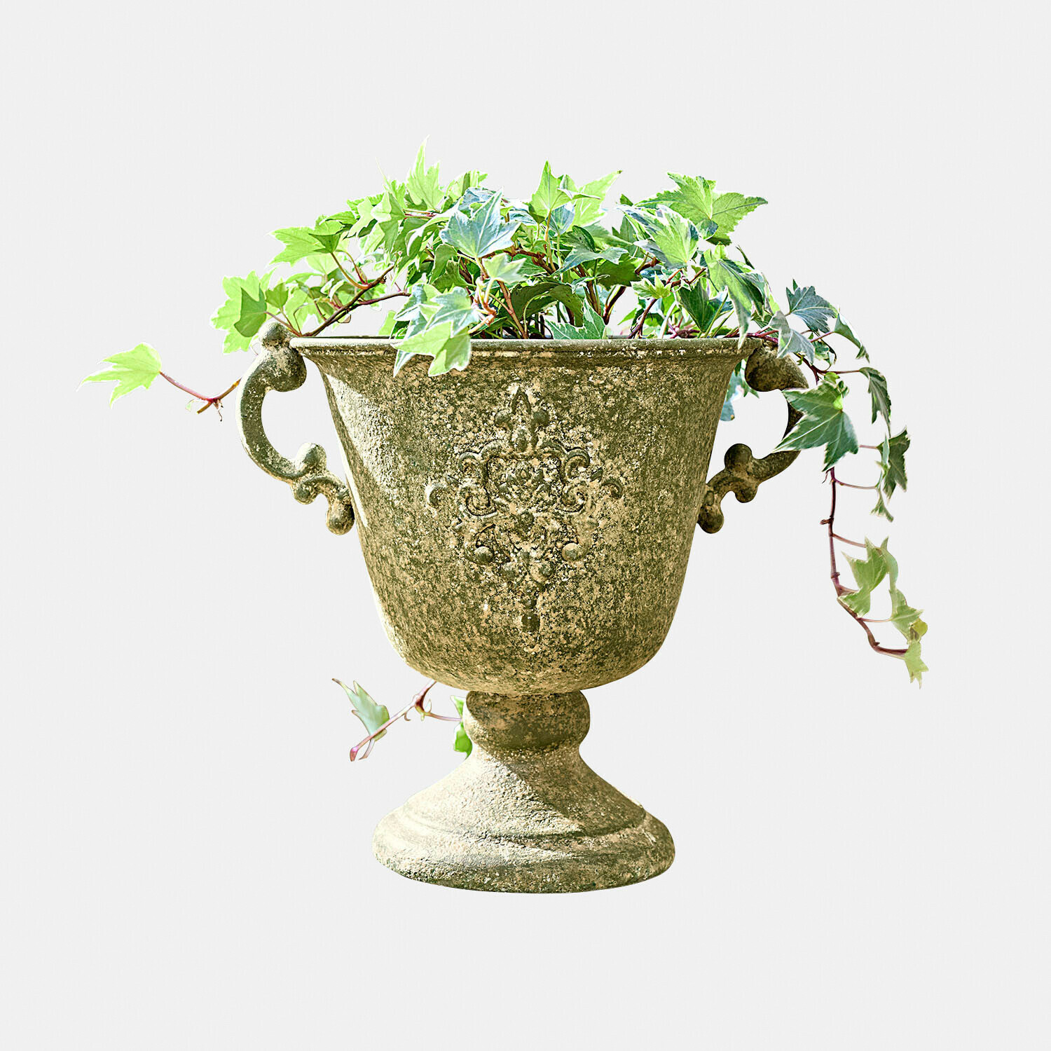 Dekorativer Pflanztopf mit grünem Vintage-Stein-Effekt und grünem Efeu