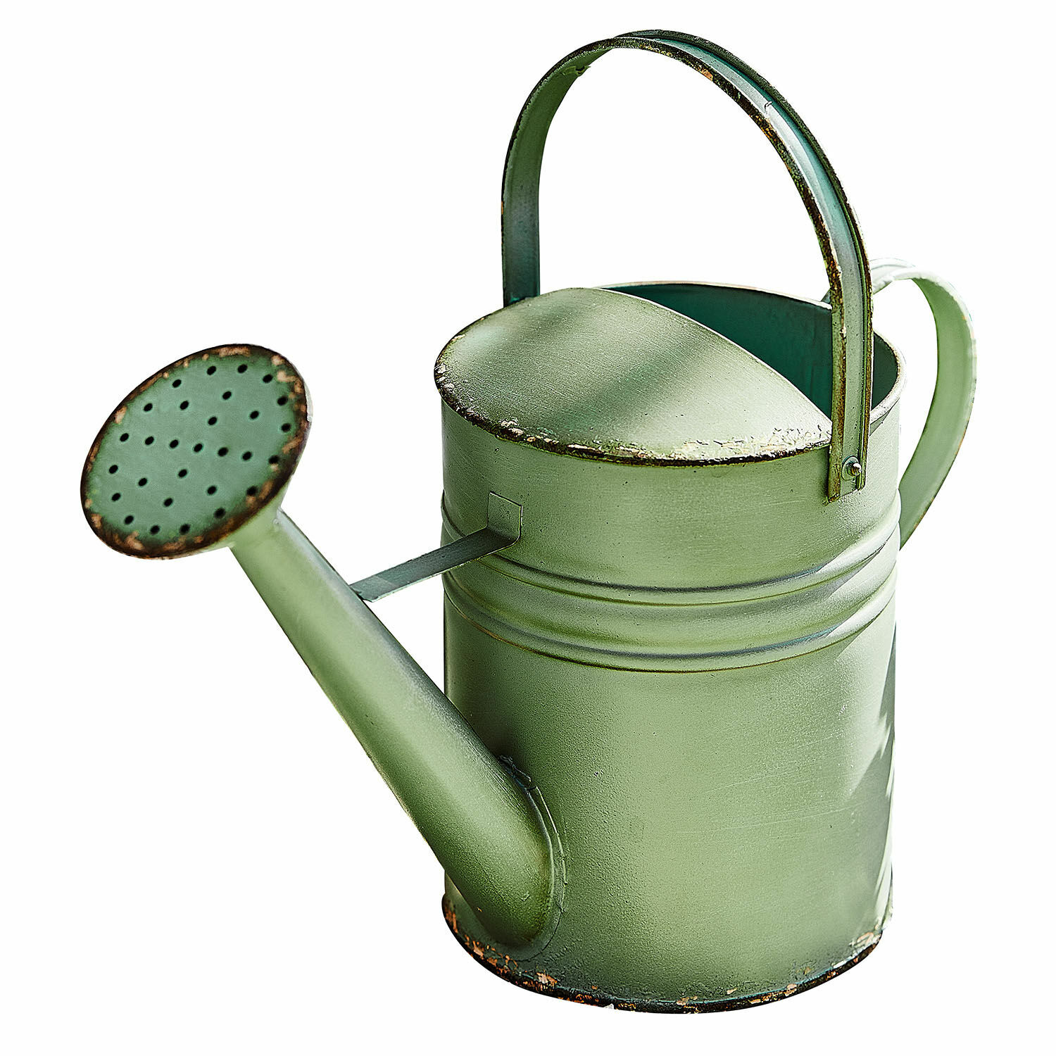 Giesskanne Elliana Grüne Metallgiesskanne mit Henkel und Ausguss zum Bewässern von Gartenpflanzen