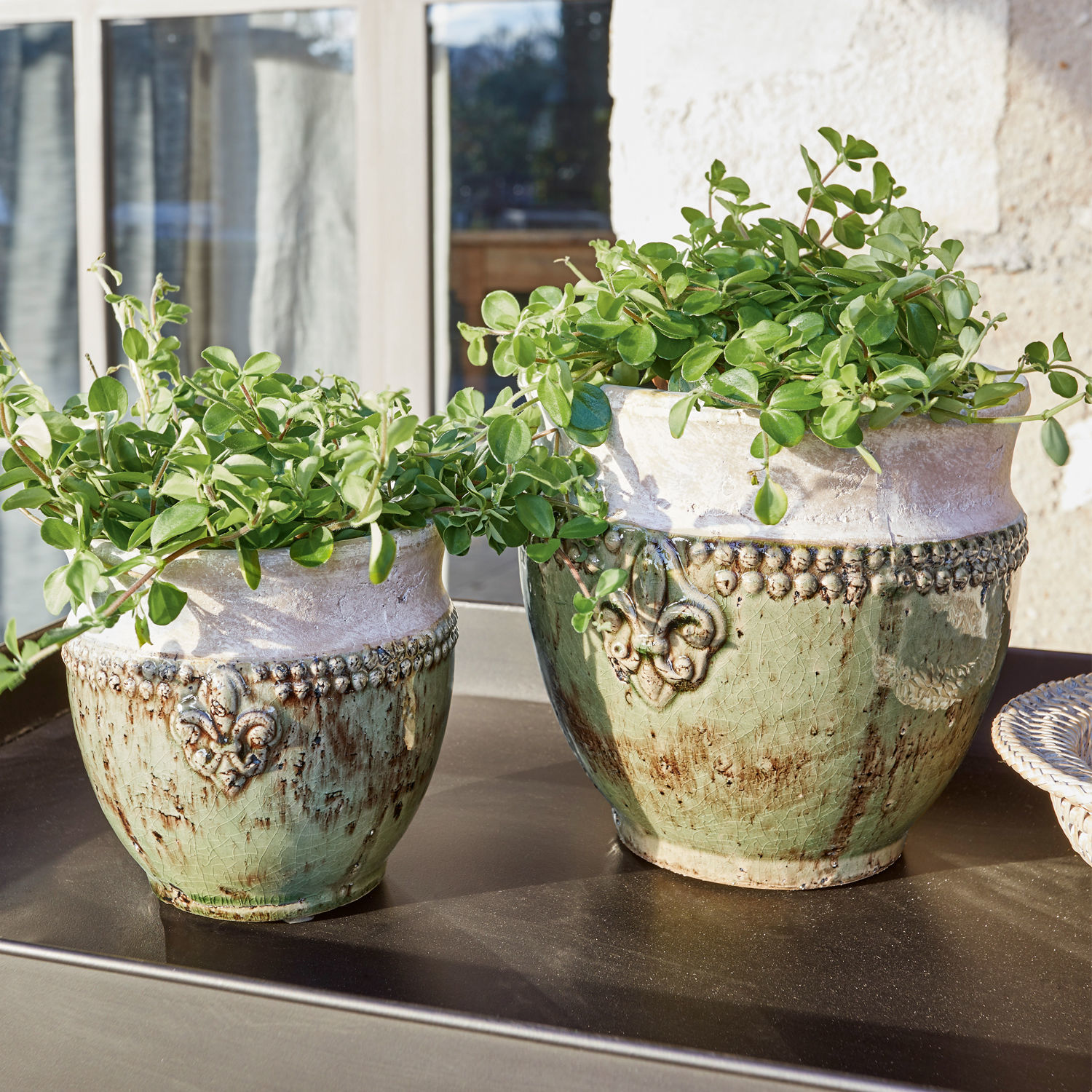 Übertopf 2er Set Montcony Zwei grün-beige Keramikblumentöpfe mit Pflanzen auf dem Gartentisch bei Sonnenschein