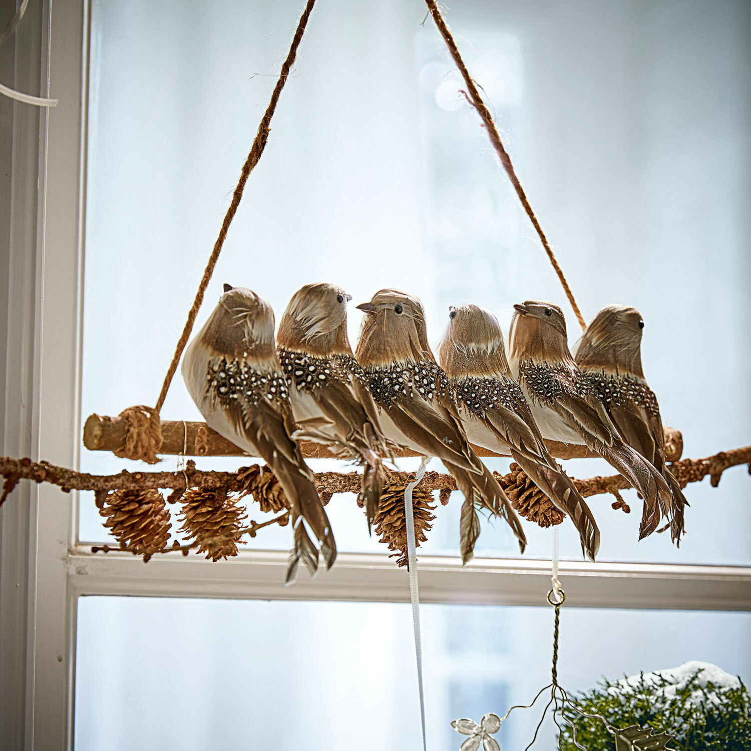 Ast mit Vögeln Orely Hängende Dekoration mit sechs braunen Vogelfiguren aus Federn auf Zweig mit Kiefernzapfen am Fenster