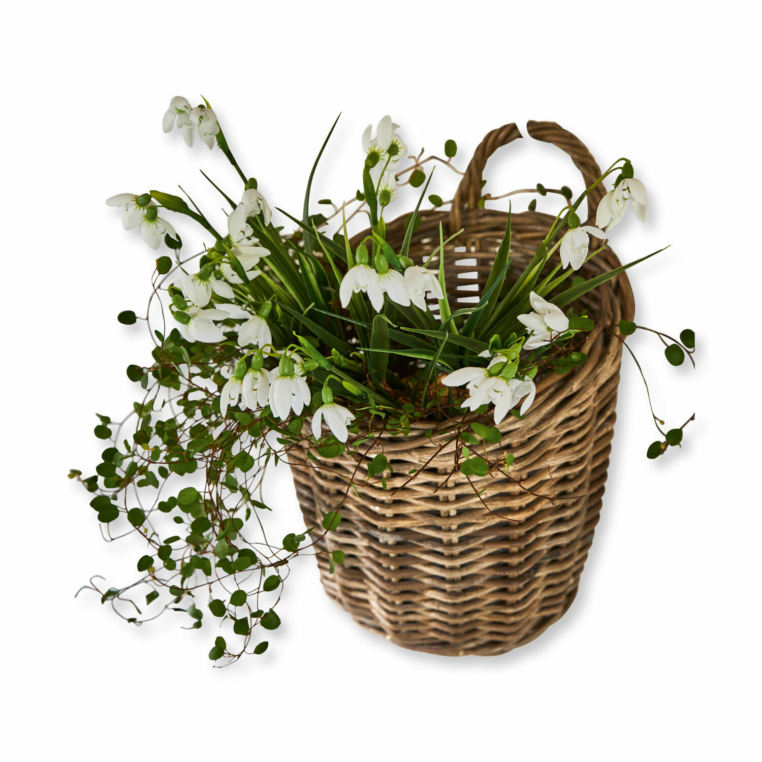 Korb Korovu Wikingerkorb mit weissen Blumen und grünen Blättern, frühlingshafte Wohnraumdekoration