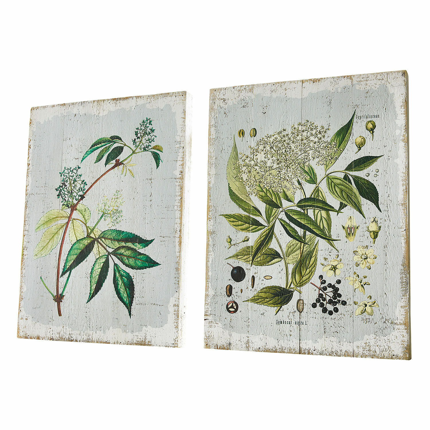 Dekoboard 2er Set Loanne Zwei Holztafeln mit botanischen Illustrationen grüner Blätter und Blüten auf weissem Hintergrund