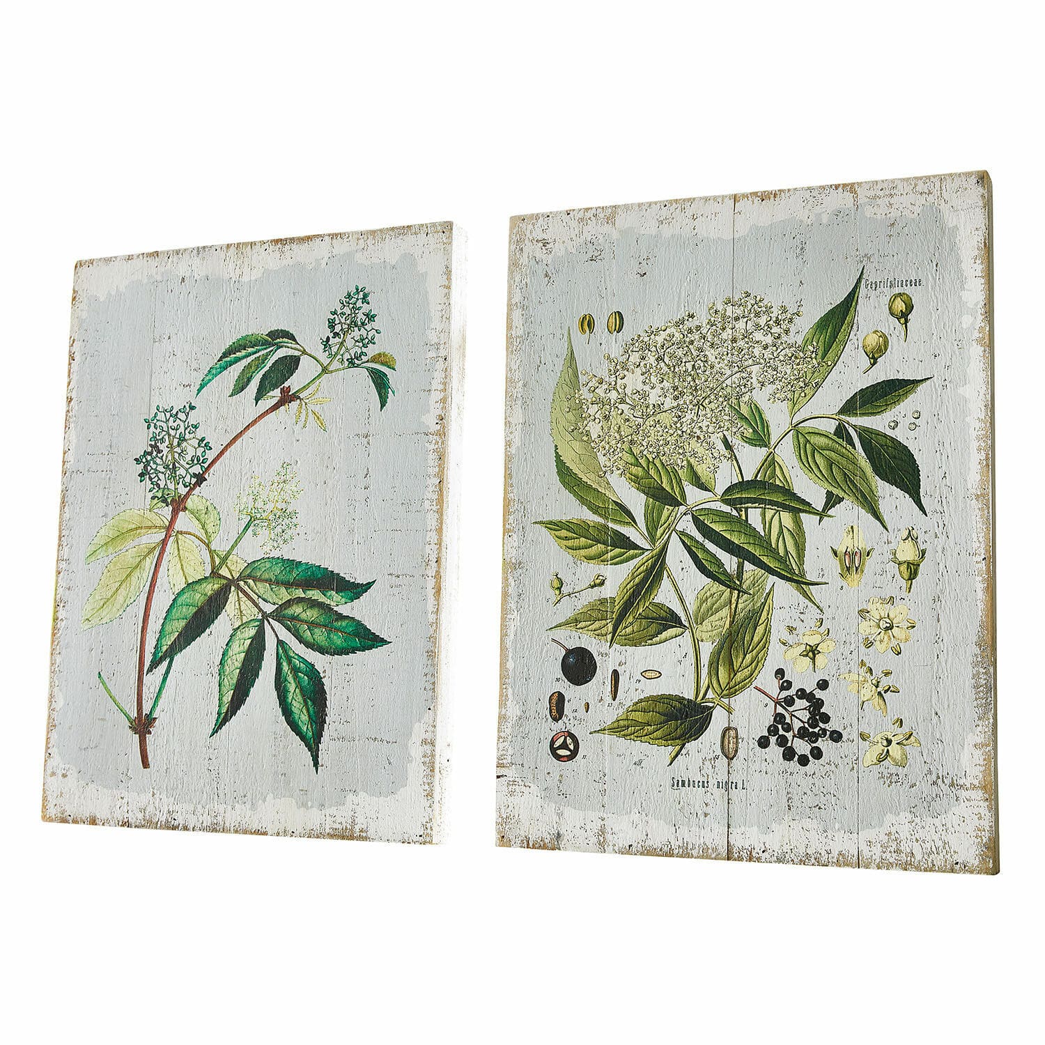 Dekoboard 2er Set Loanne Zwei Holztafeln mit botanischen Illustrationen grüner Blätter und Blüten auf weissem Hintergrund