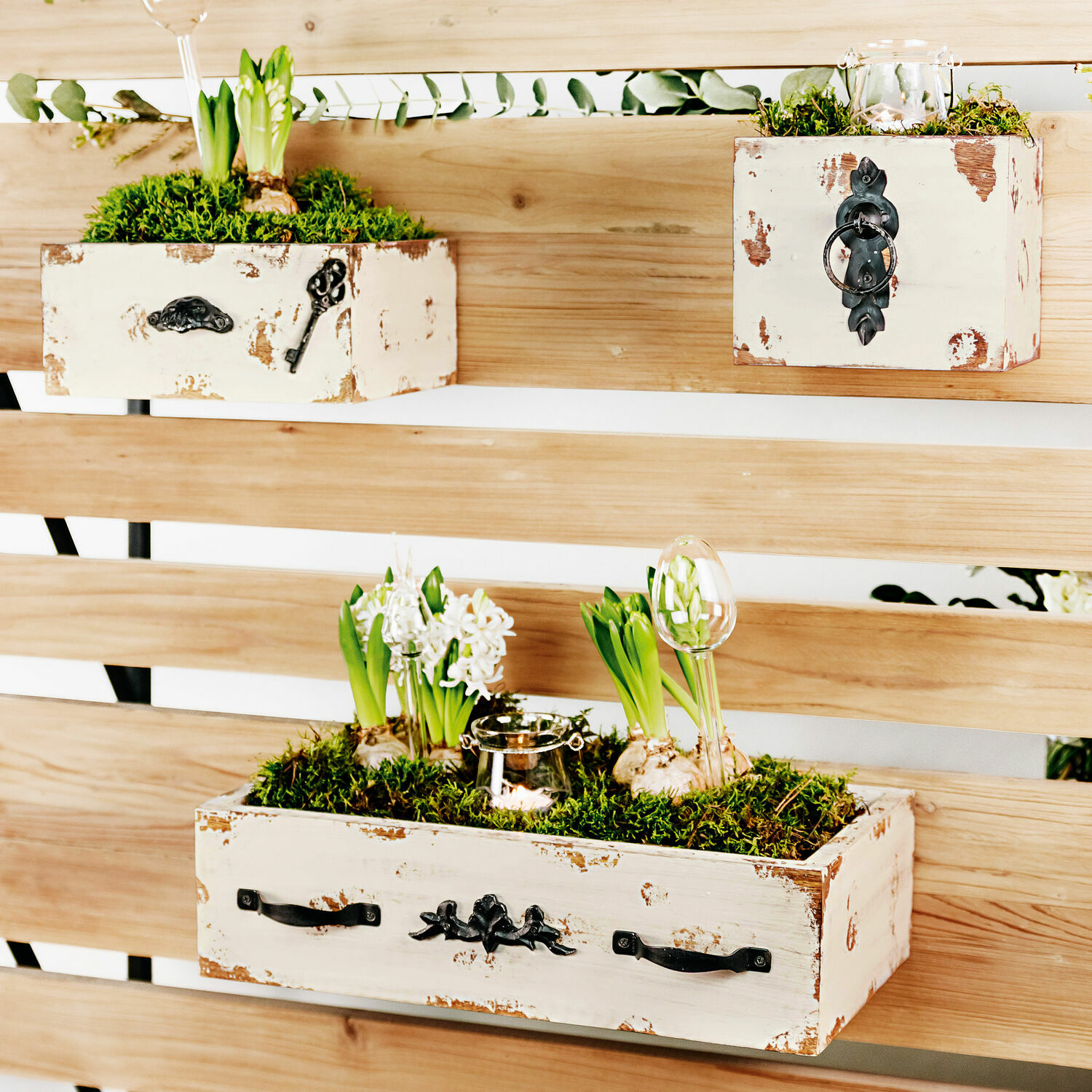 Rustikale weisse Holzkisten mit Metallgriffen und grünen Pflanzen an der Wand