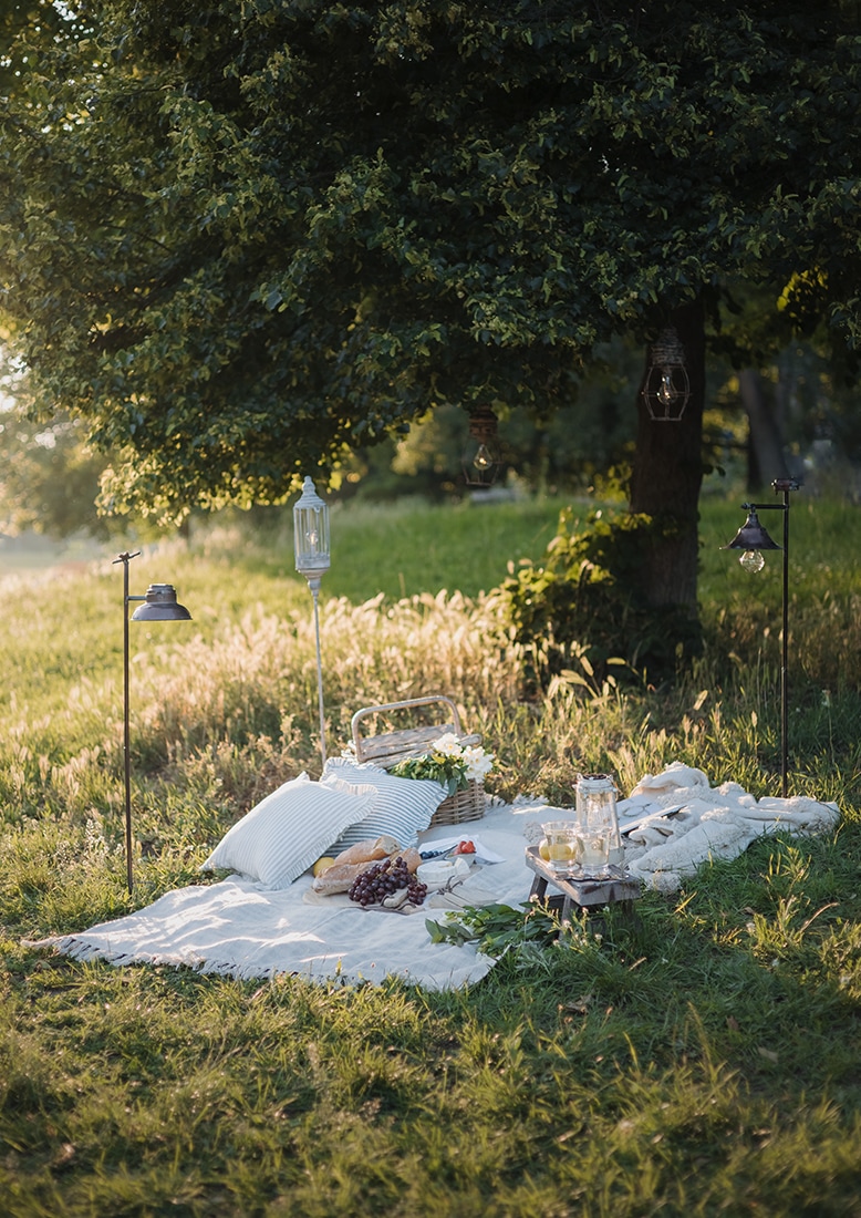 Gemütliches Picknick auf weisser Decke mit Kissen und Korb auf Gras unter einem Baum im Sonnenlicht