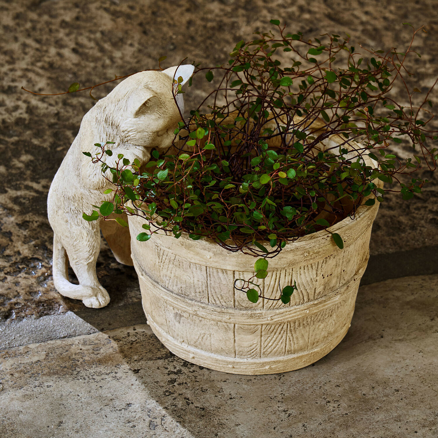 Heller Steintopf mit grüner Pflanze und beiger Katzenfigur auf steinigem Boden