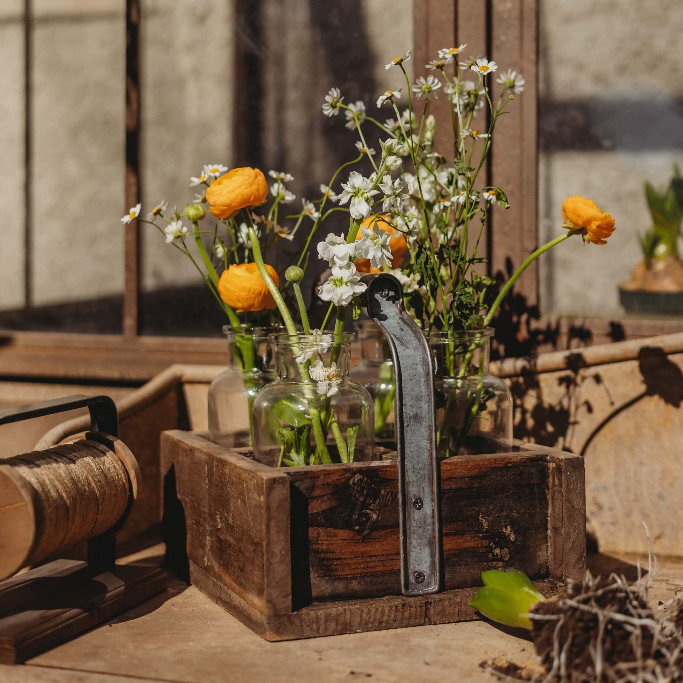 Holzkiste mit Griff und Glasvasen mit gelben und weissen Blumen auf Gartentisch bei Sonnenlicht