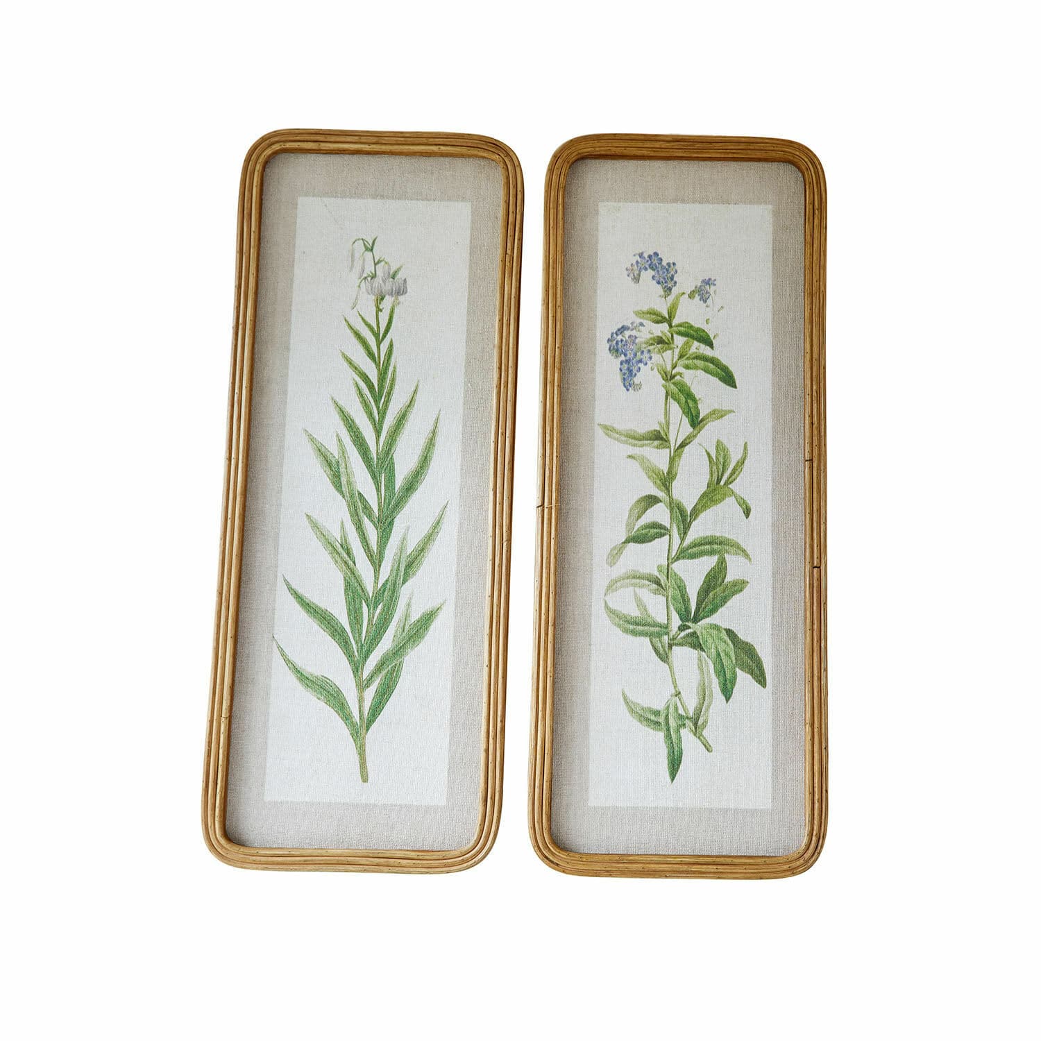 Bild 2er Set Cenori Set aus zwei botanischen Bildern mit Pflanzenmotiven in Holzrahmen auf Leinenhintergrund