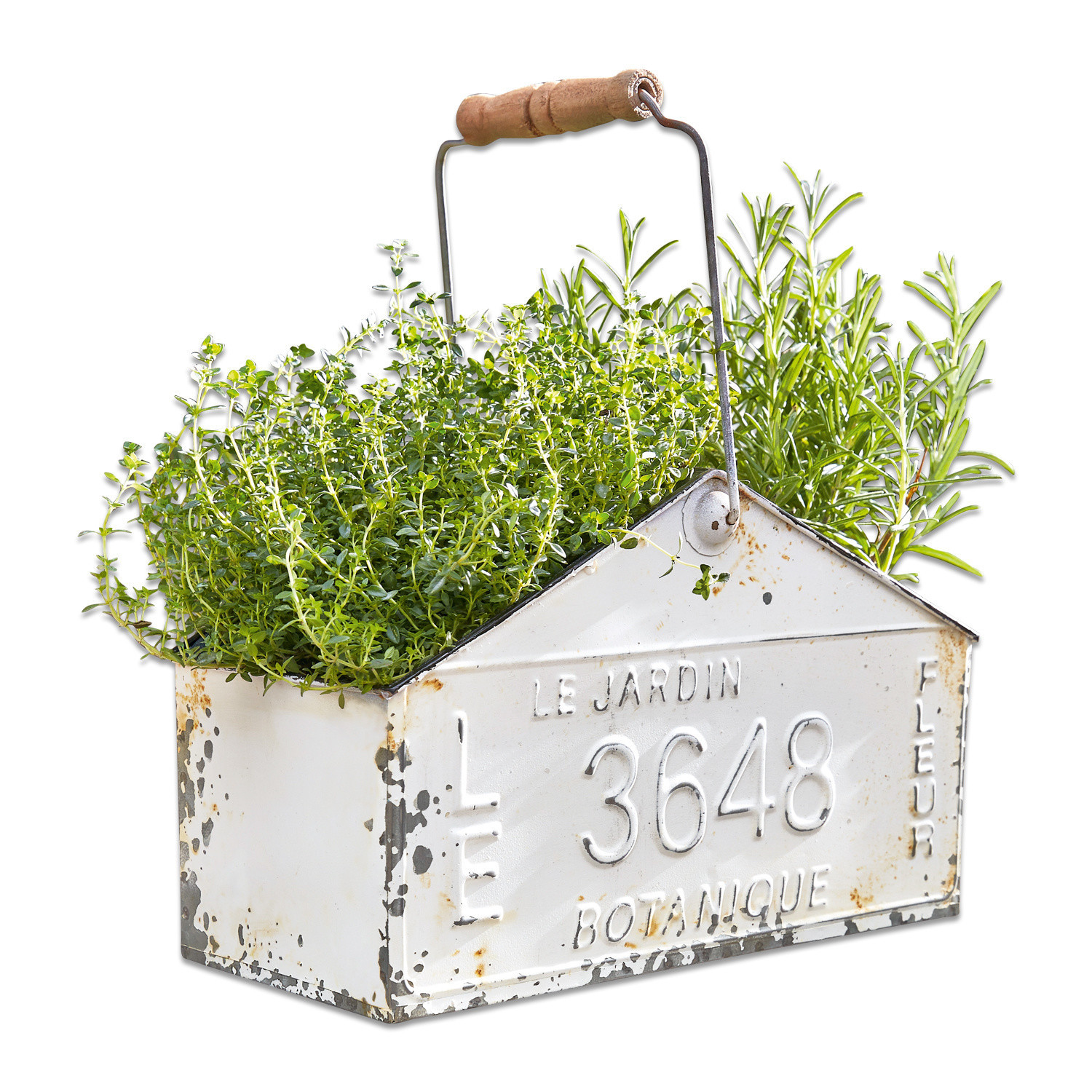 Korb Botanique Weisse Metallpflanzbox mit Holzgriff und grünen Kräutern, Vintage-Gartendekoration
