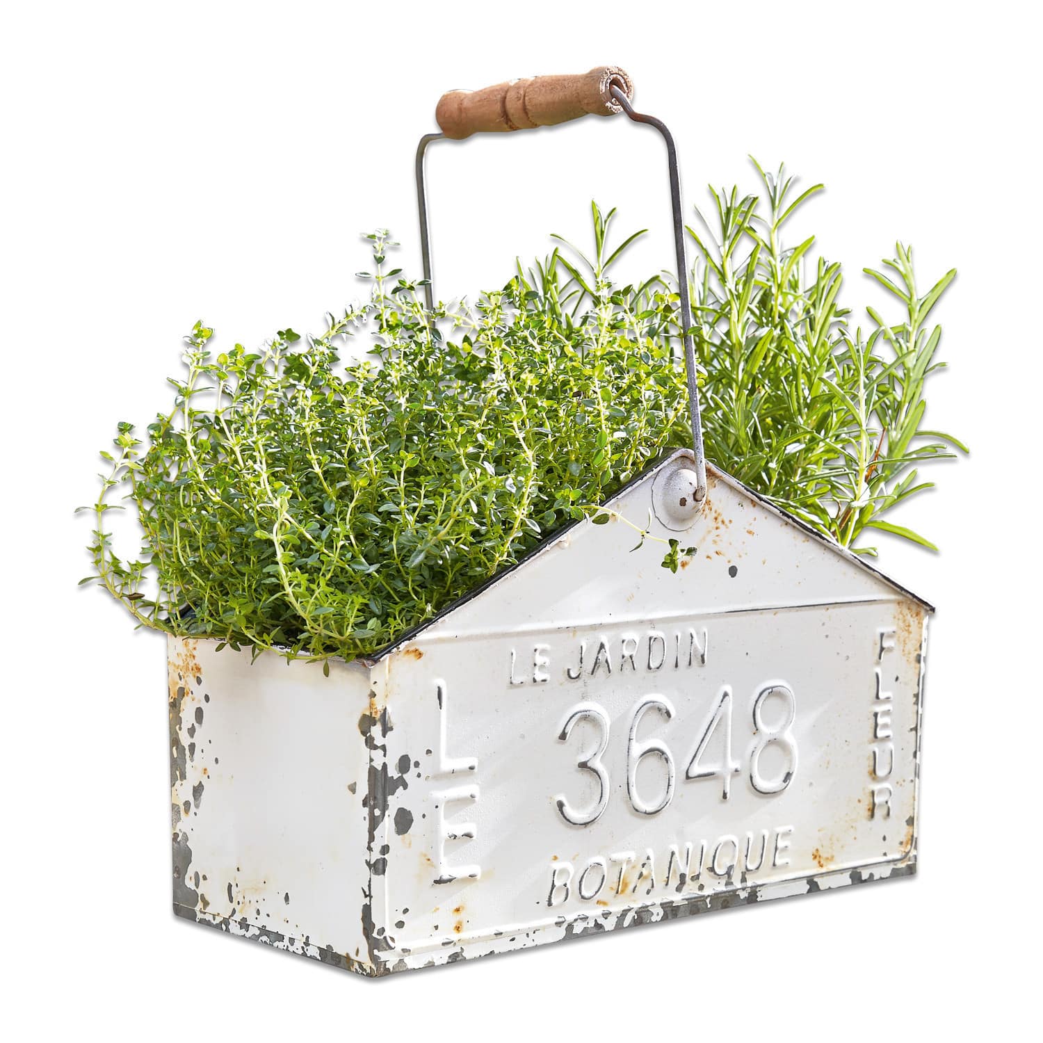 Korb Botanique Weisse Metallpflanzbox mit Holzgriff und grünen Kräutern, Vintage-Gartendekoration