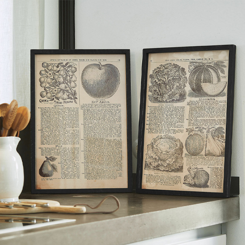 Zwei schwarze Rahmen mit Vintage-Illustrationen von Obst und Gemüse auf der Küchenarbeitsplatte