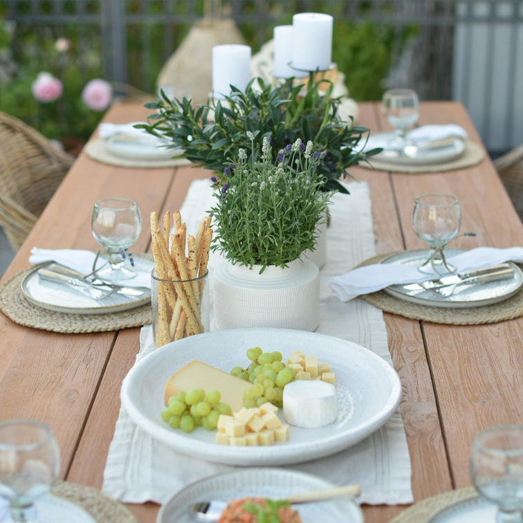 Holztisch mit weissem Geschirr, Käse, grünen Trauben und grüner Pflanzen-Dekoration für Outdoor-Essen