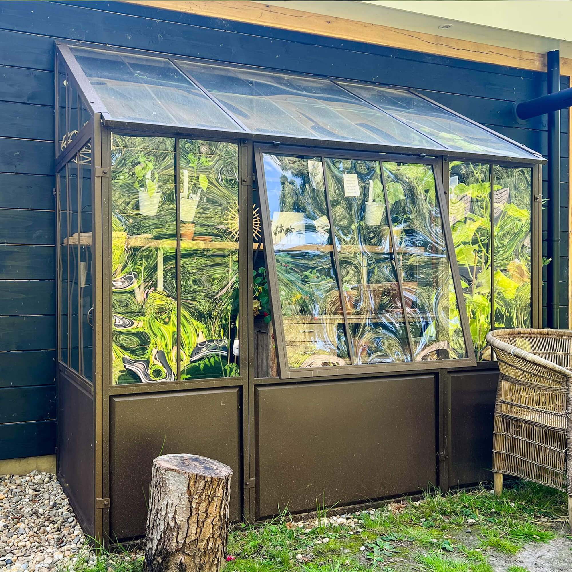 Gartengewächshaus mit braunem Metallrahmen vor Holzwand und grüner Umgebung