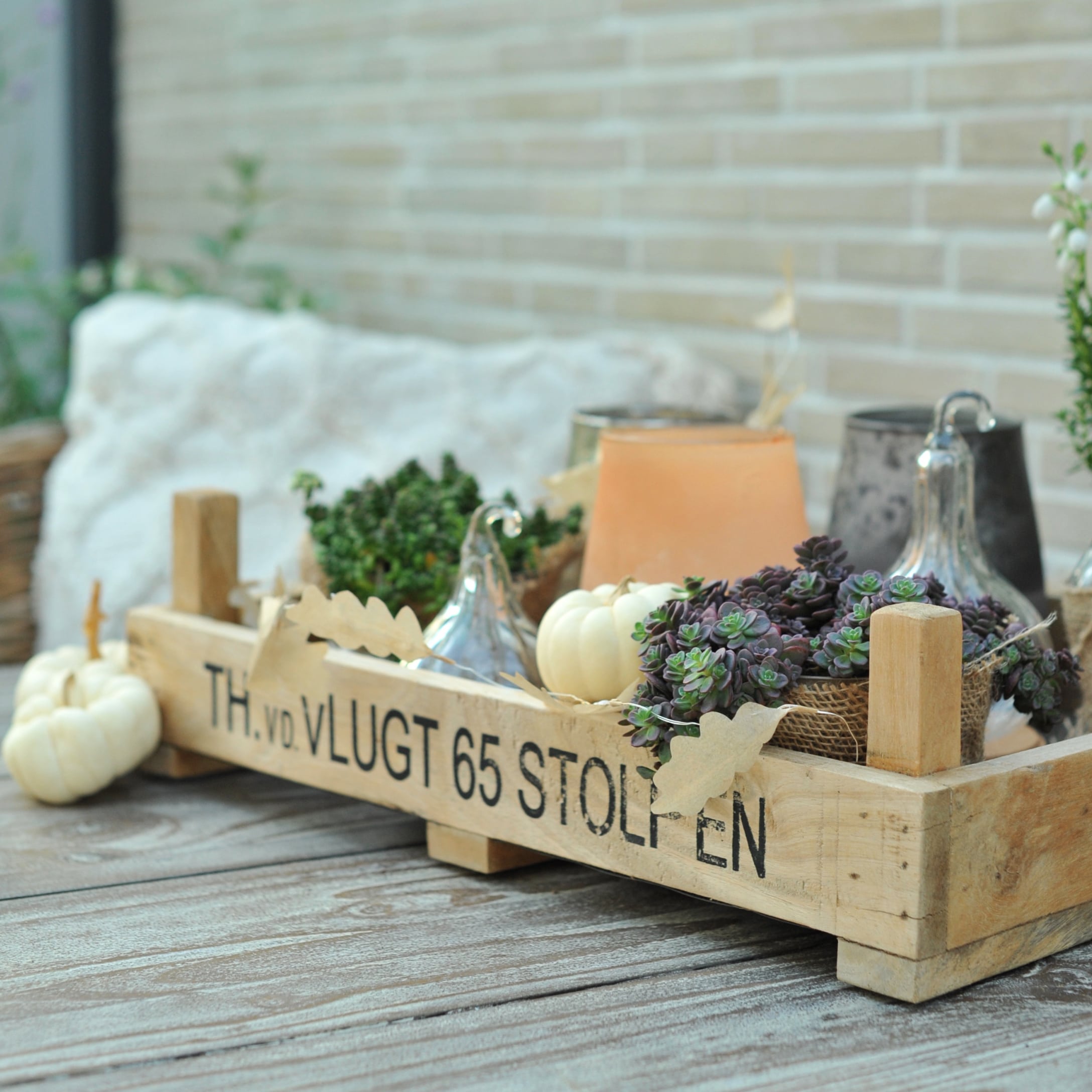 Holzkiste mit herbstlicher Dekoration, weissen Kürbissen und Sukkulenten auf Gartentisch