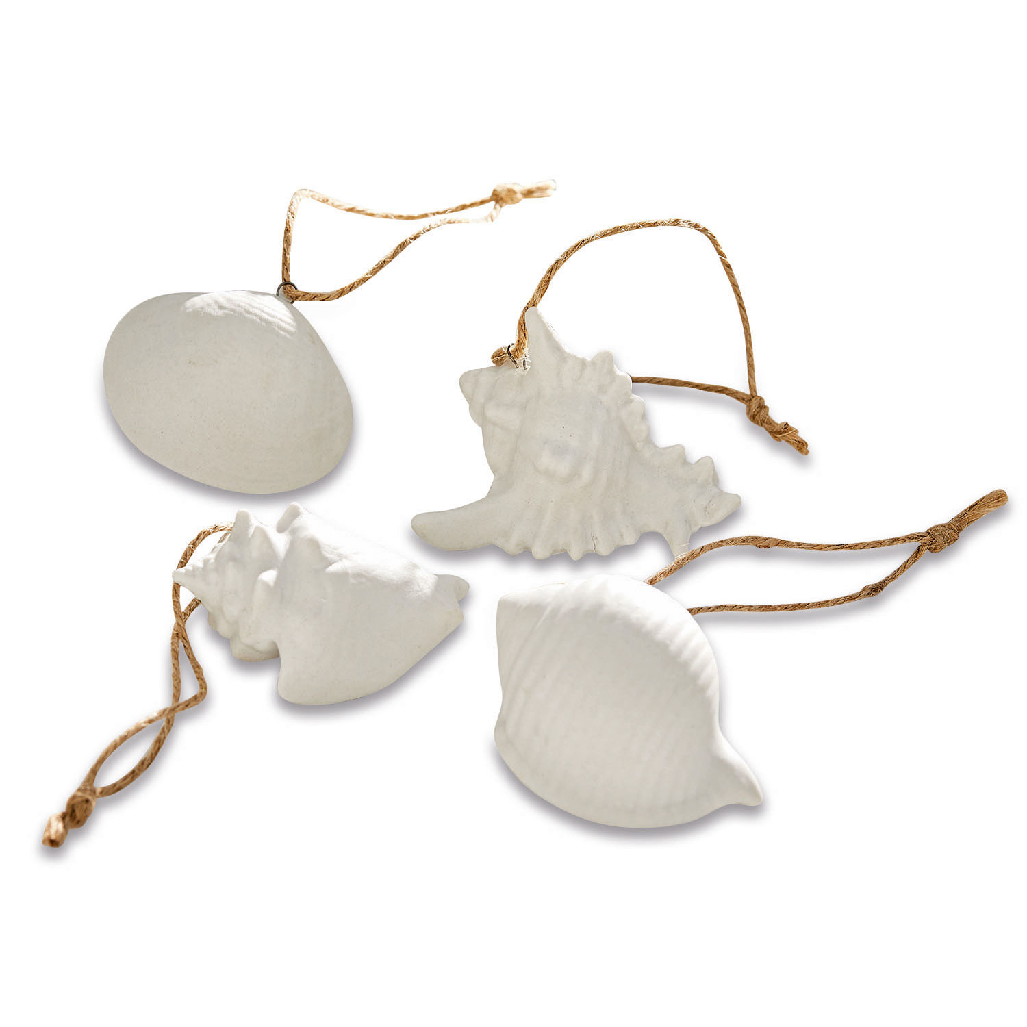 Deko-Muscheln 4er Set Maltesse