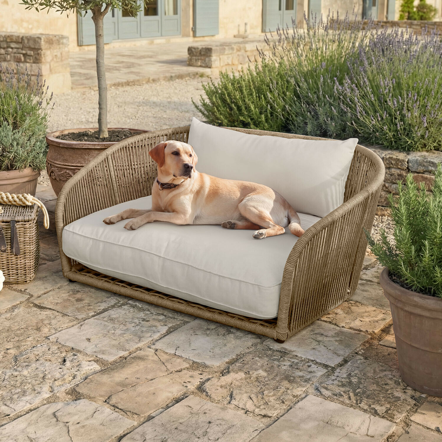 In- & Outdoor-Haustiersofa Belvidere Beige geflochtenes Sofa mit cremefarbenen Kissen auf Steinboden, Hund liegt neben Topfpflanzen
