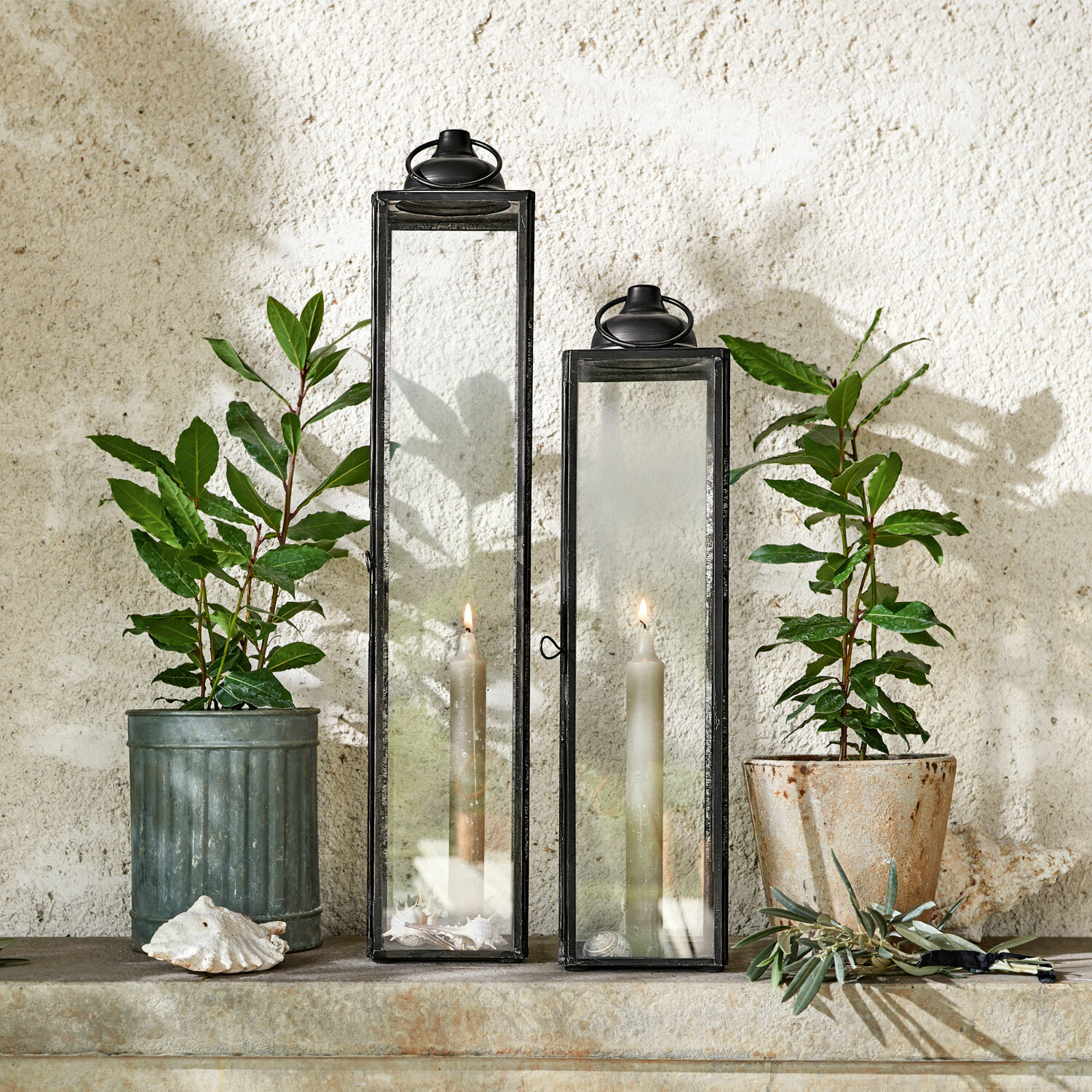 Laterne 2er Set Radu Zwei schwarze Metalllaternen mit klarem Glas und weissen Kerzen vor einer Wand mit grünen Pflanzen