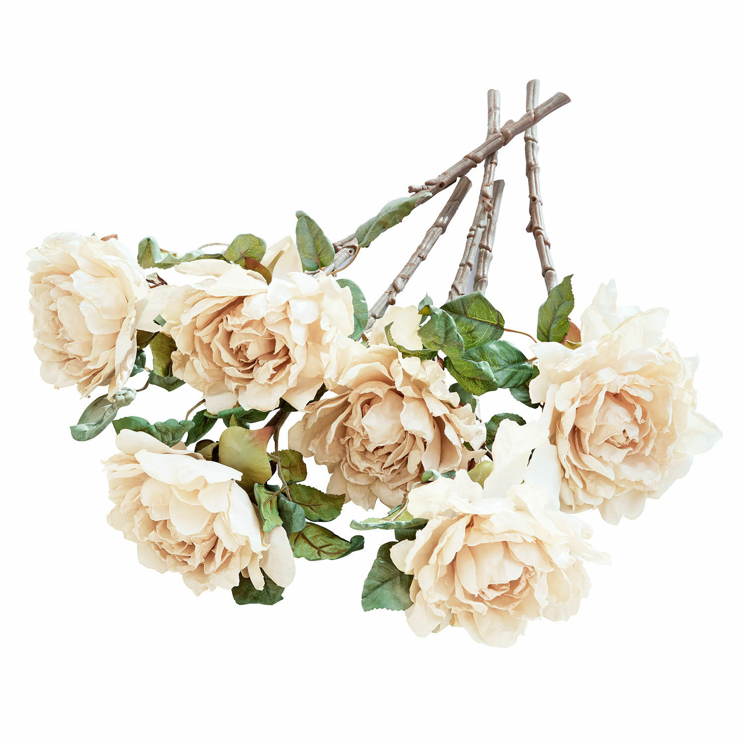creme 6-teiliges Deko-Blumen-Set Mervix in Creme mit grünen Blättern und braunen Stielen