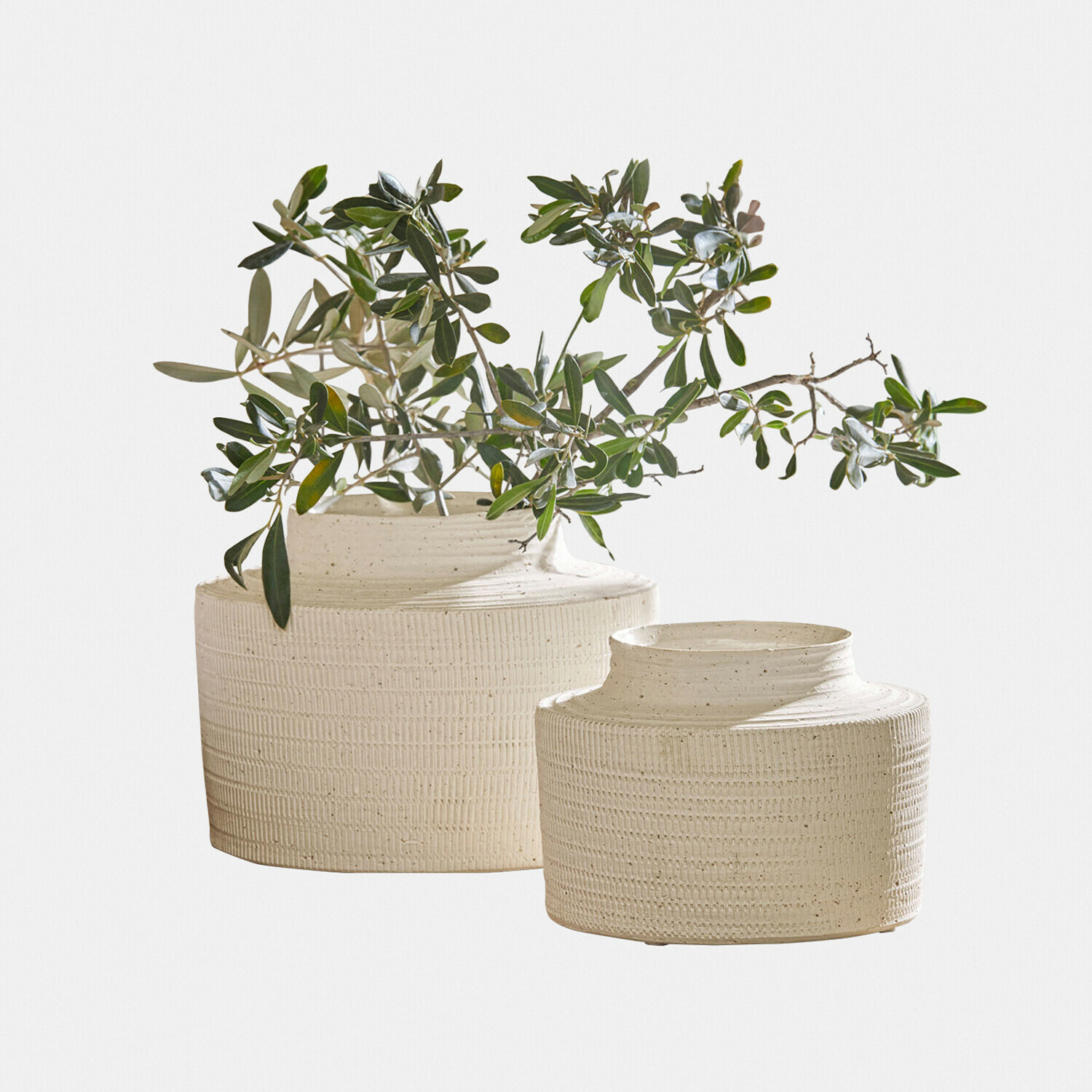 Vase 2er Set Délavrie Set aus zwei cremefarbenen, strukturierten Keramikvasen mit grünen Zweigen, elegante Wohnraumdekoration