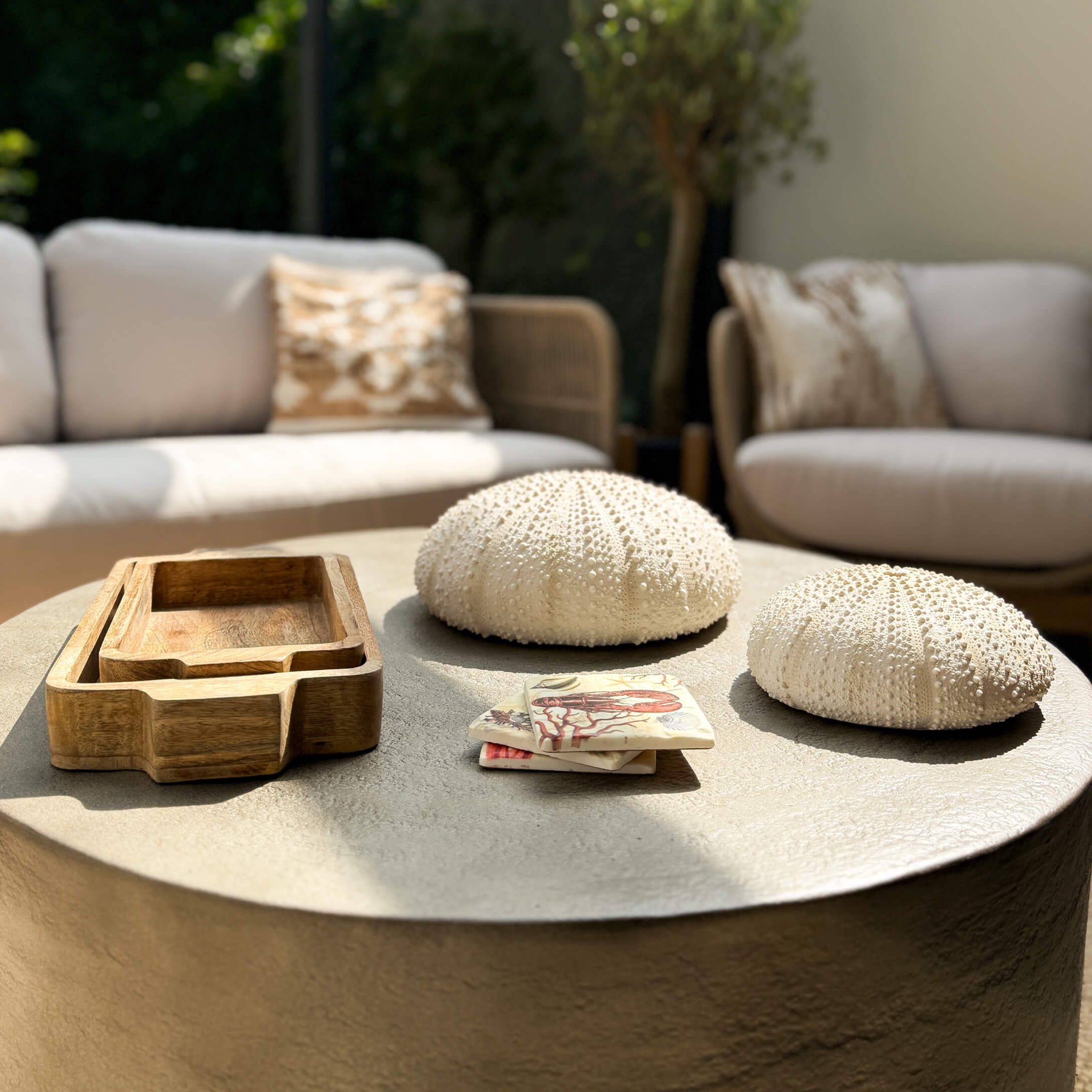 Weiße Seeigel-Dekoration und Holztabletts auf grauem Tisch in modernem Wohnzimmer mit hellen Sofas