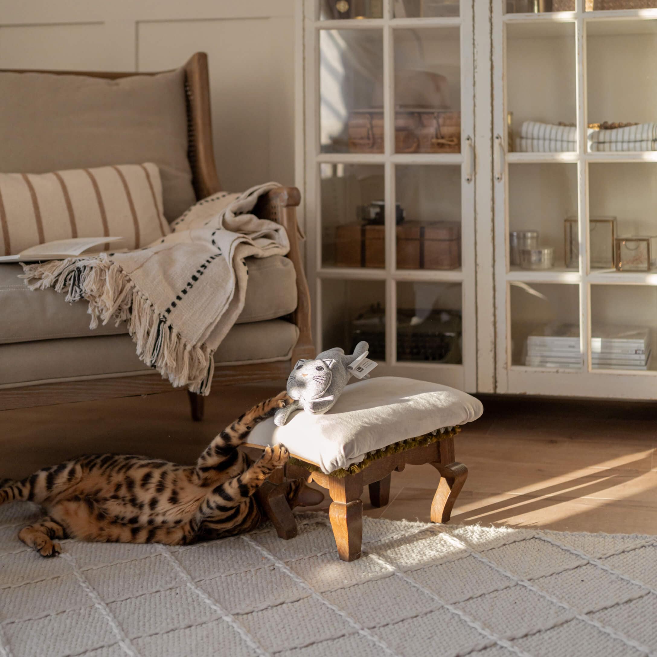 Graue Plüschkatze auf weissem Hocker mit Holzbeinen in gemütlichem Wohnzimmer mit spielender Katze auf Teppich