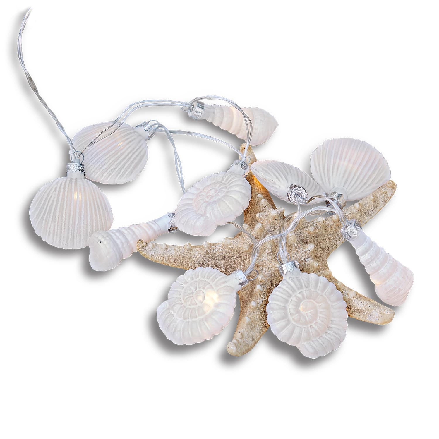 Lichterkette White Shells