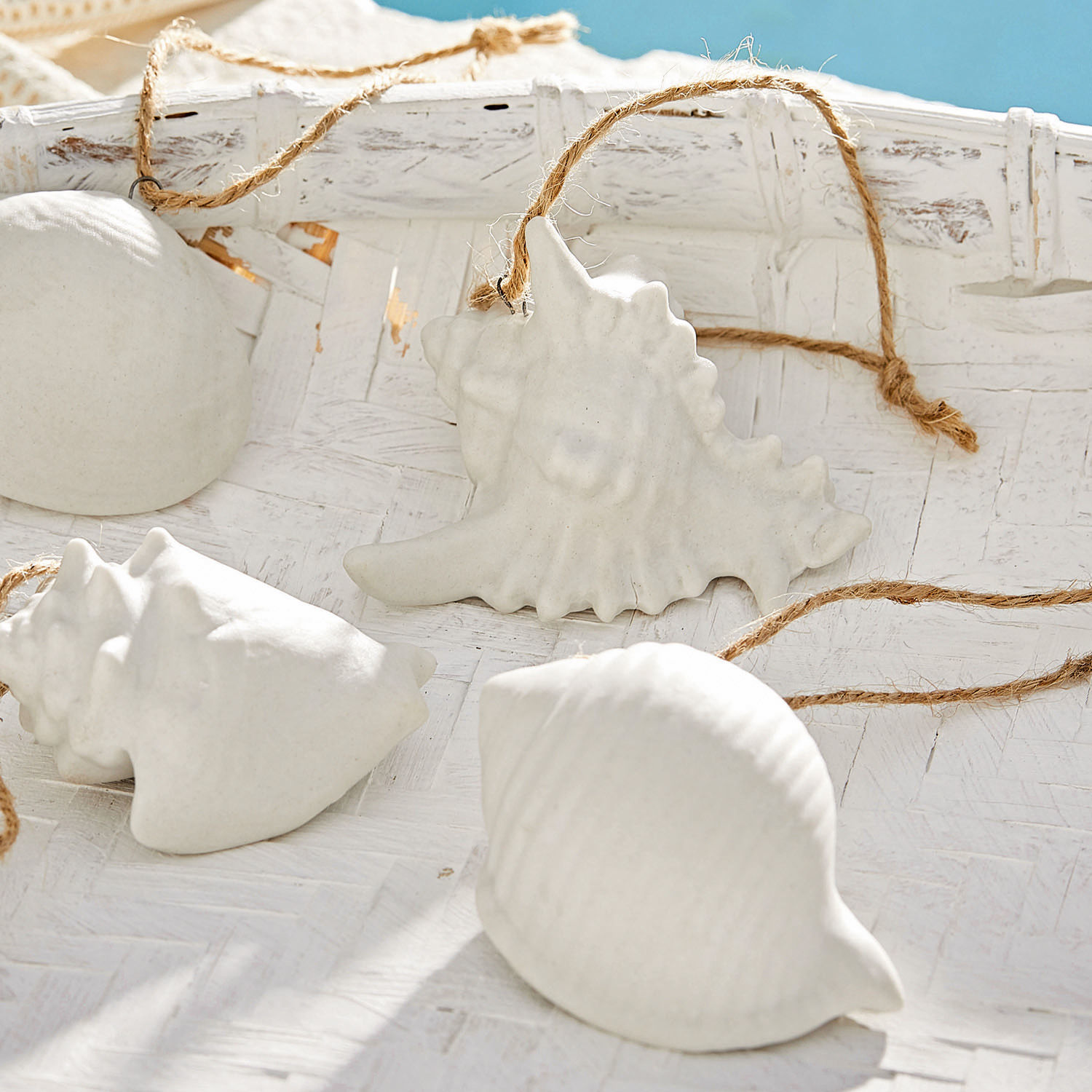 Deko-Muscheln 4er Set Maltesse