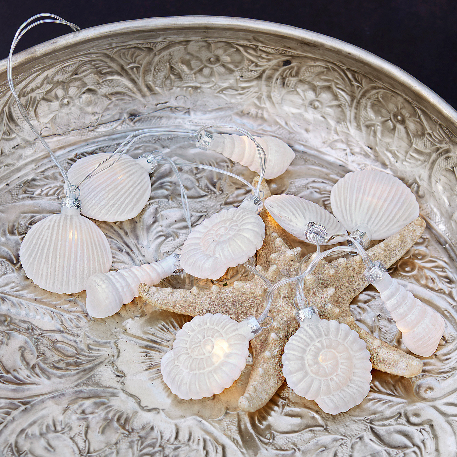 Lichterkette White Shells
