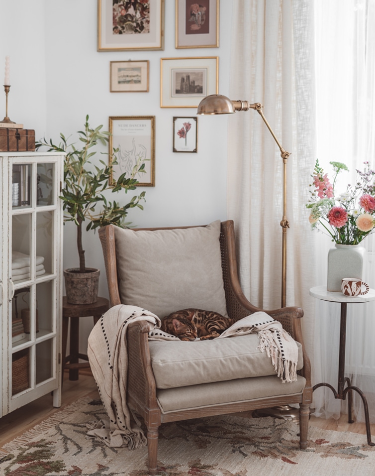 Bequemer Sessel mit beigem Kissen und Decke, schlafende Katze, helle Wohnzimmer-Einrichtung mit Lampe und Blumen