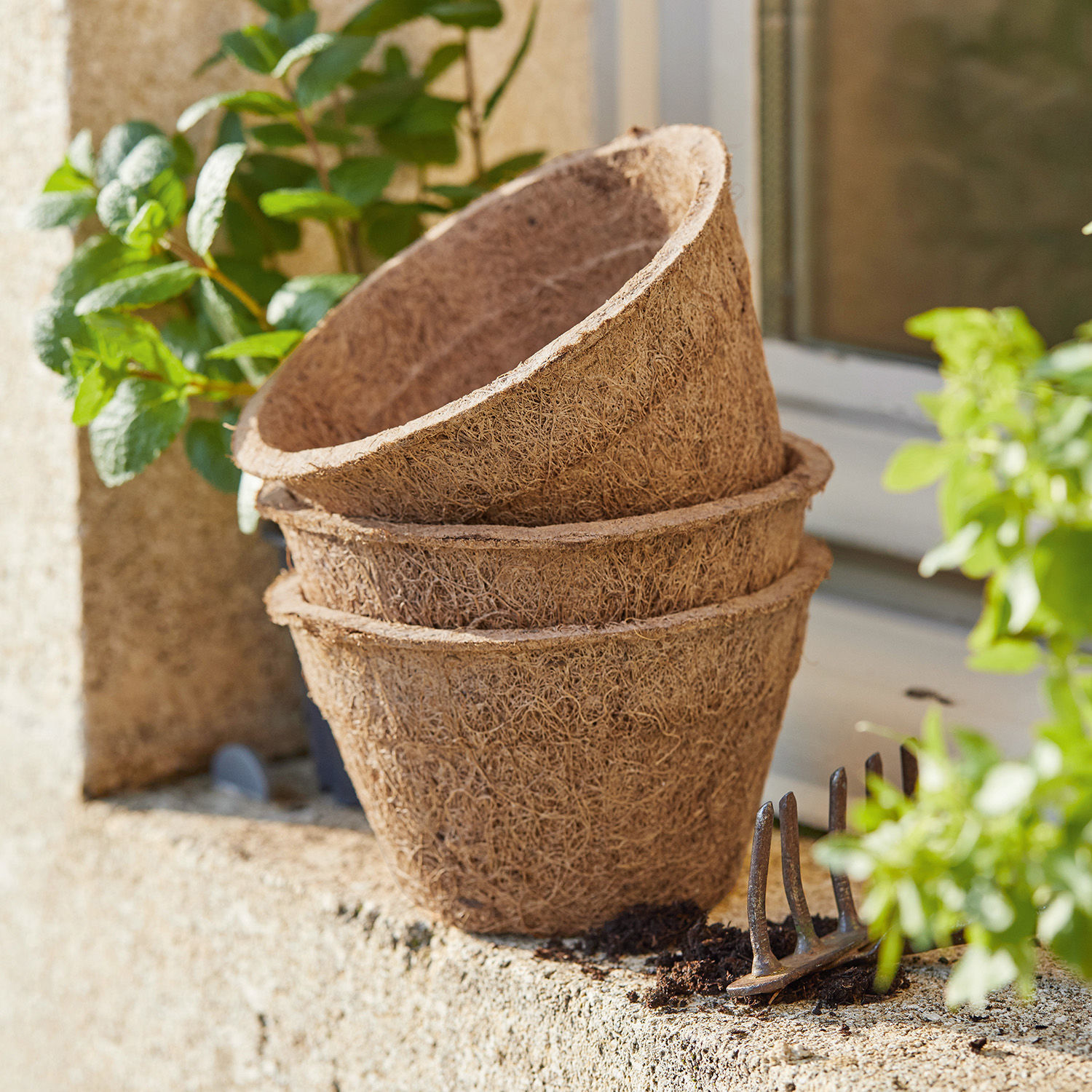 Anzuchttopf 3er Set Coco