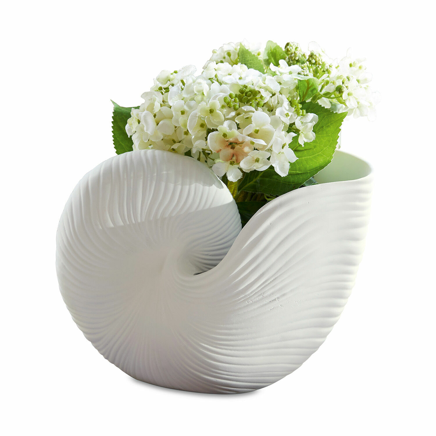Übertopf Manteur Weisse Keramikvase in Muschelform mit Struktur, dekoriert mit weissen Blumen, modernes Design