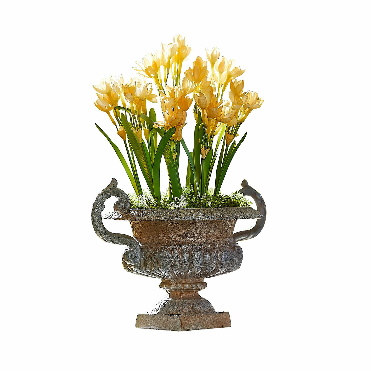 Amphore Iverlon Dekorativer Metallblumenkübel mit gelben Blumen und grünen Blättern vor weissem Hintergrund