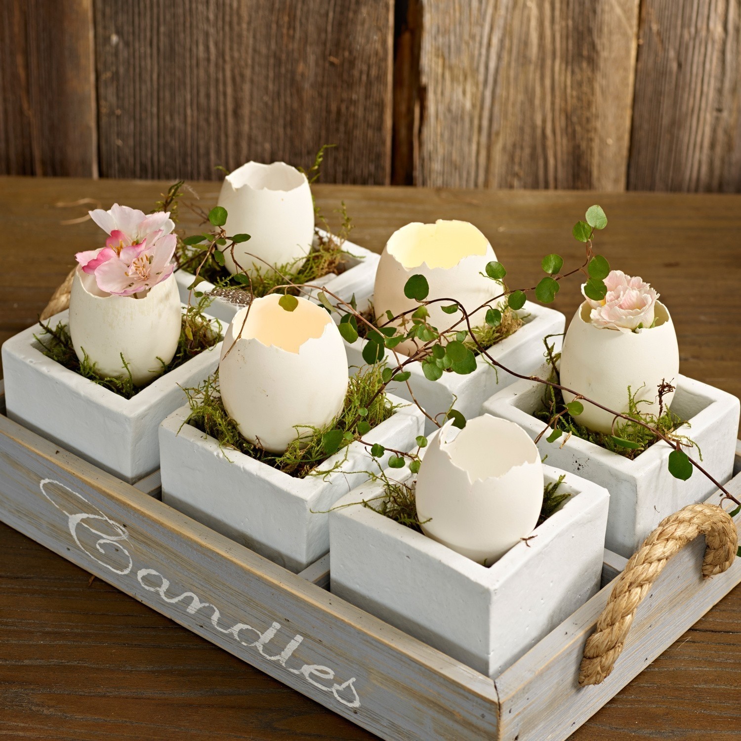 Eierschalen Abandoned Egg