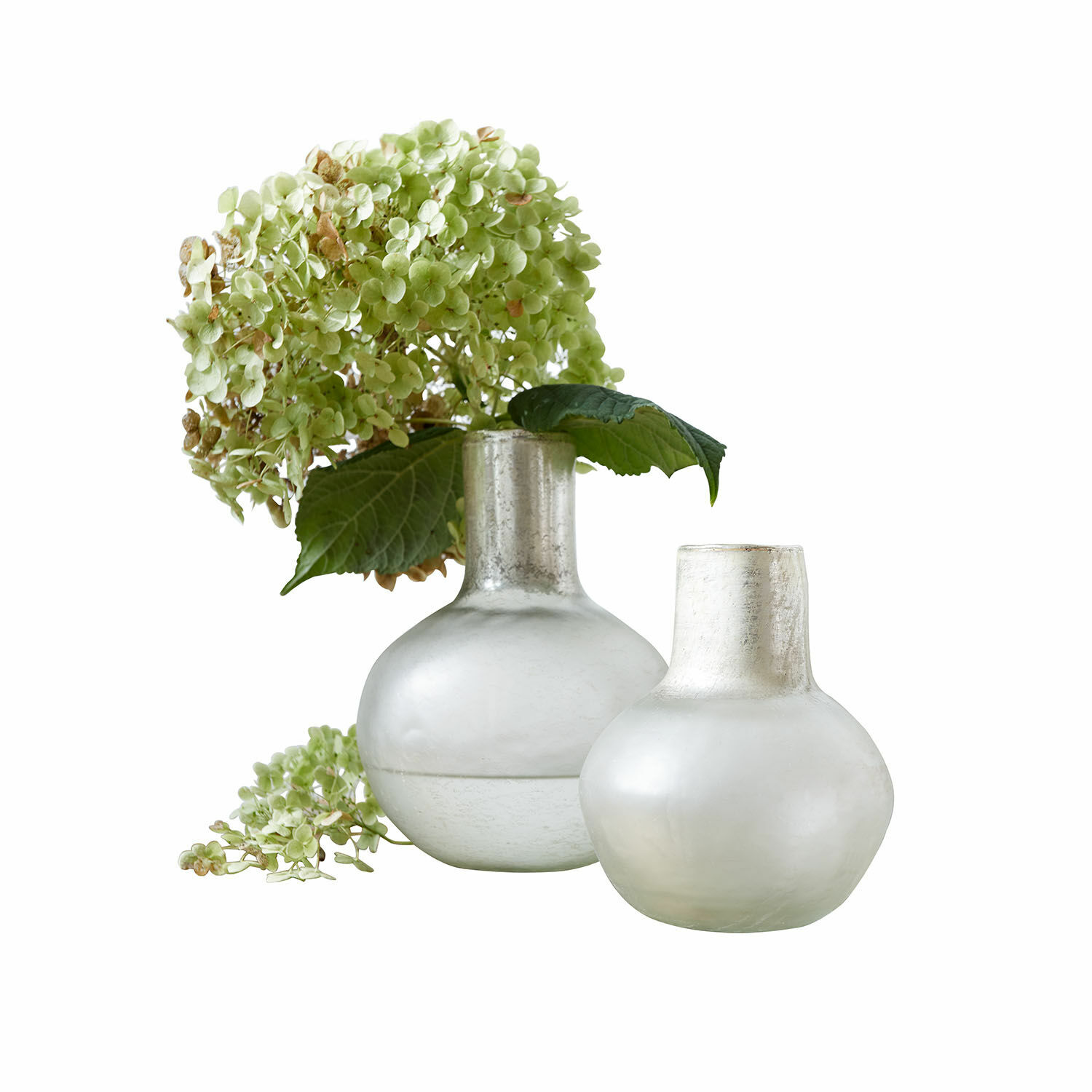 Vase 2er Set Nazira Zwei matte milchglasfarbene Vasen mit grünen Hortensienblüten zur Wohnraumdekoration.