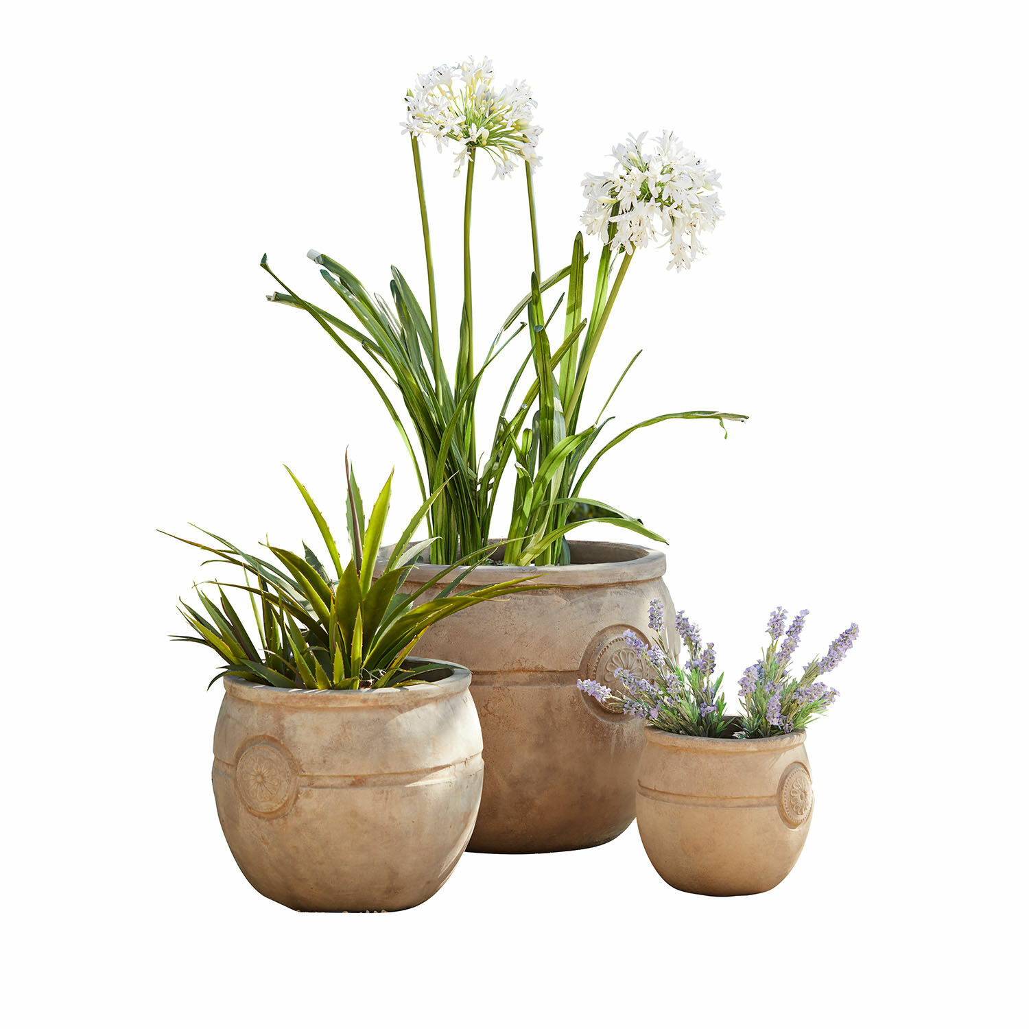 Pflanztopf 3er Set Clorivon Set aus drei beigen Pflanzgefässen mit dekorativen Pflanzen für Garten und Zuhause
