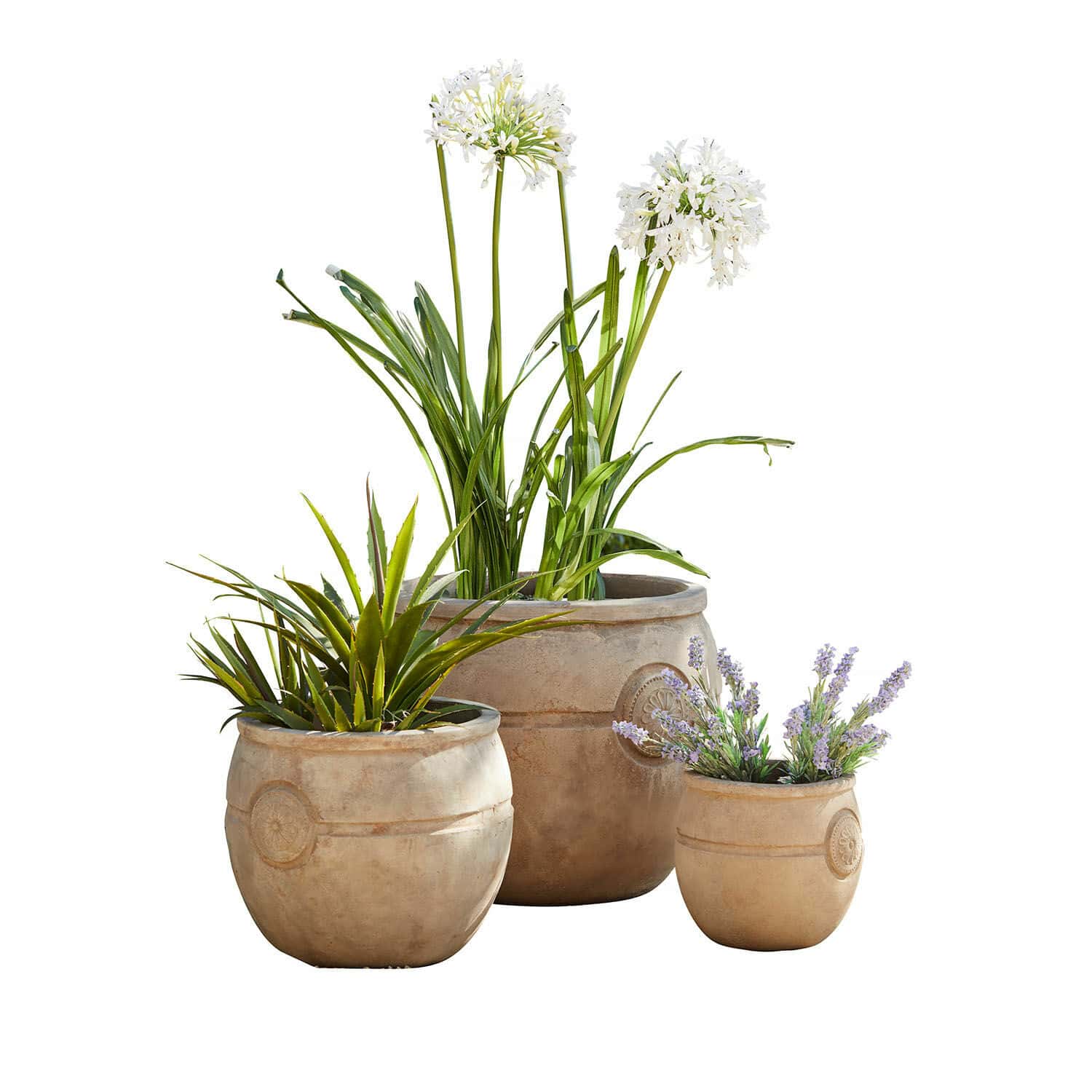 Pflanztopf 3er Set Clorivon Set aus drei beigen Pflanzgefässen mit dekorativen Pflanzen für Garten und Zuhause