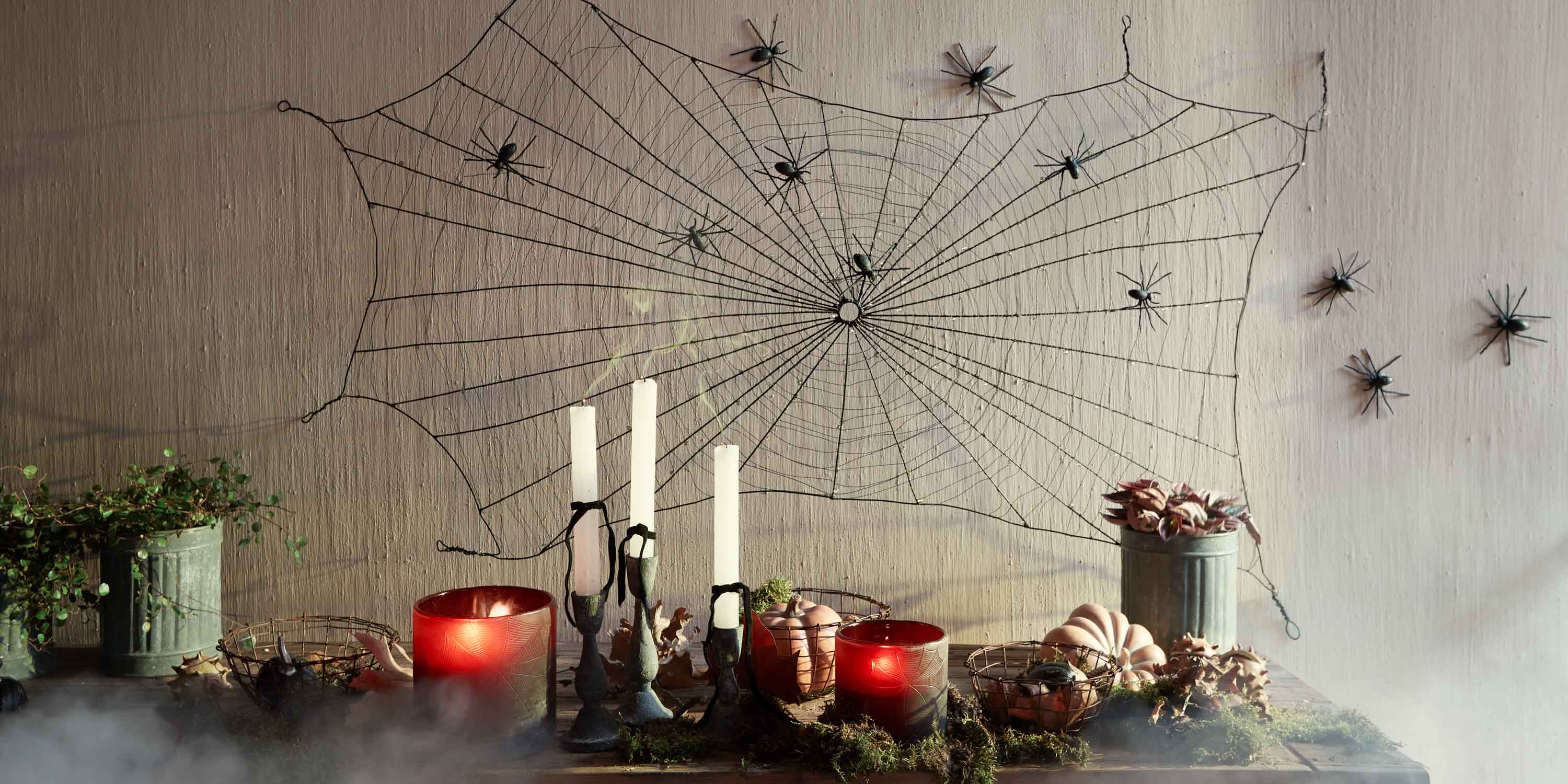 Im Netz der Spinne Im Netz der Spinne