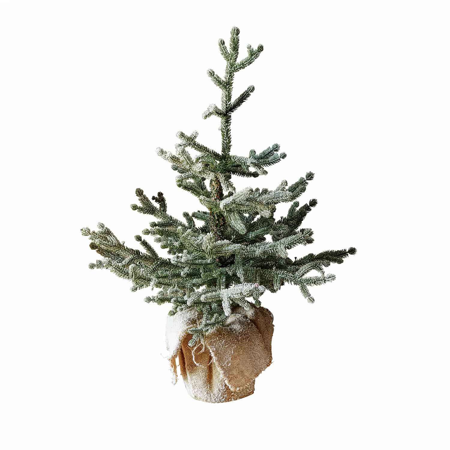 Kleiner Tannenbaum im Topf, mit Jute umwickelt, grün mit weissem Schneeeffekt, Weihnachtsdekoration